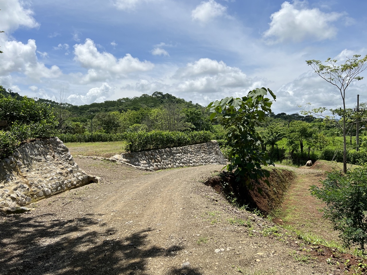 0 bed Land For Sale in Cobano, Puntarenas - thumb 4