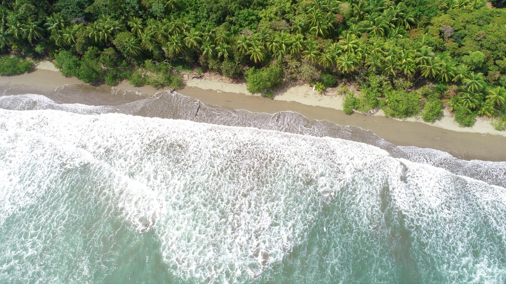 0 bed Land For Sale in Uvita, Puntarenas - thumb 15