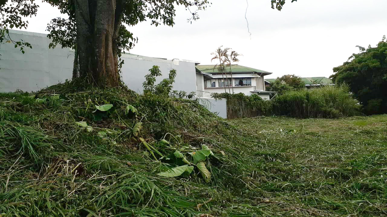 0 bed Land For Sale in Montes de Oca, San Jose - thumb 3