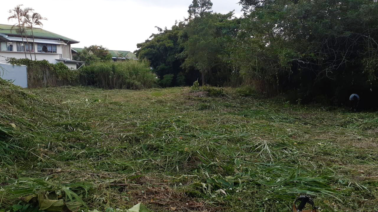 0 bed Land For Sale in Montes de Oca, San Jose - thumb 2