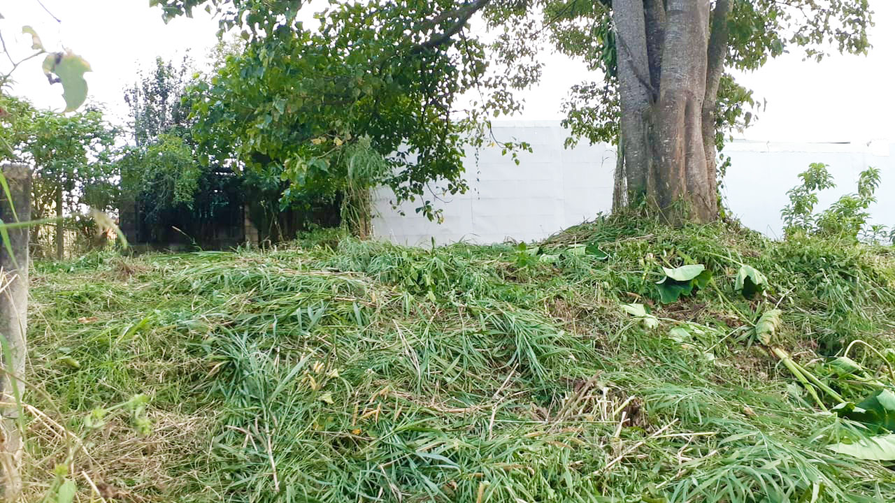 0 bed Land For Sale in Montes de Oca, San Jose - thumb 5