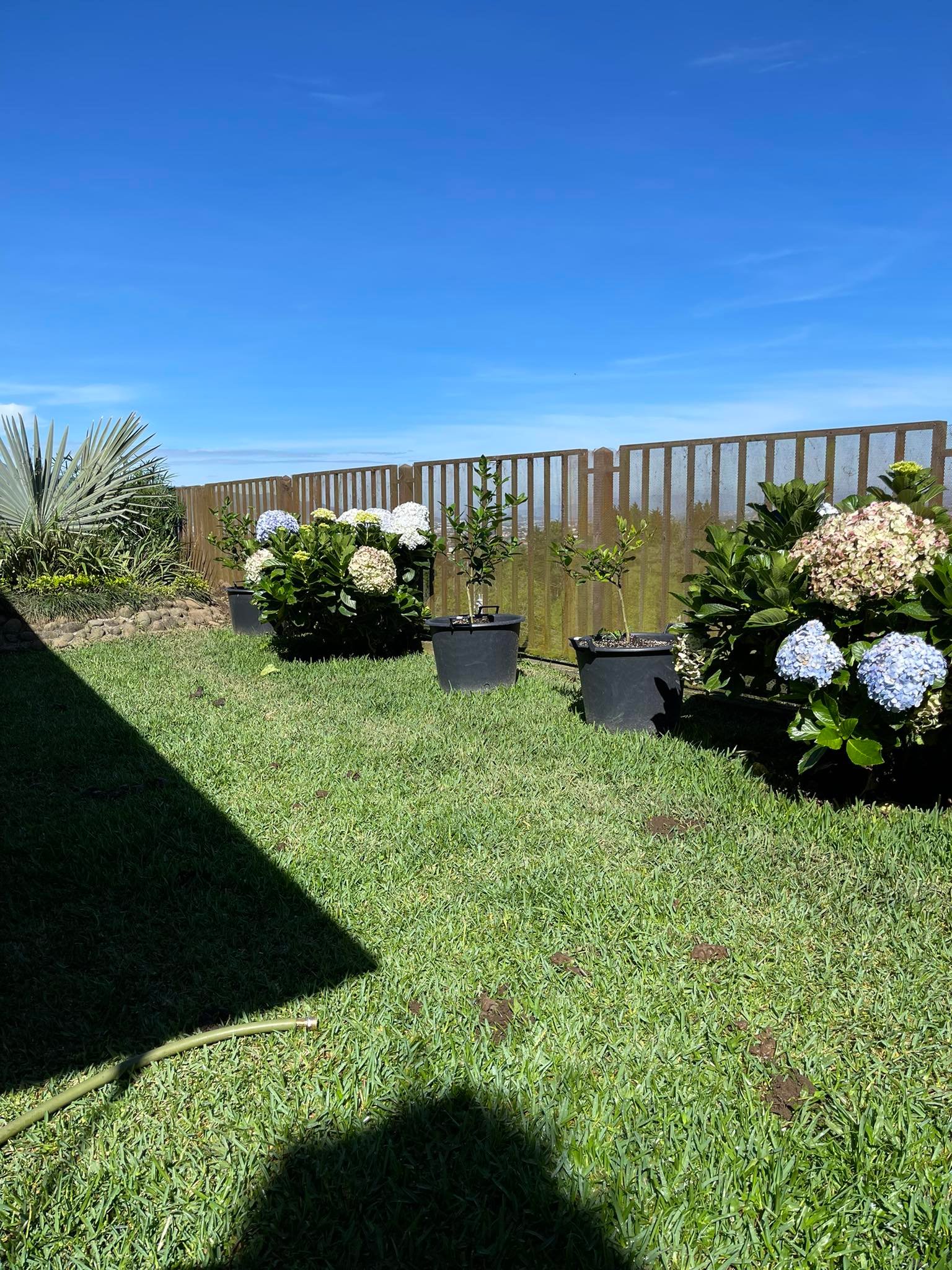 4 bed Single Family Homes For Sale in Guadalupe, San Jose - thumb 11