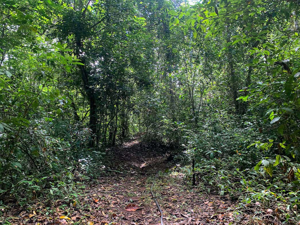 0 bed Land For Sale in Ojochal, Puntarenas - thumb 16