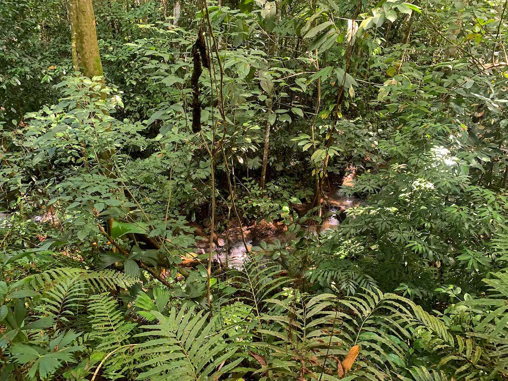 0 bed Land For Sale in Ojochal, Puntarenas - thumb 17