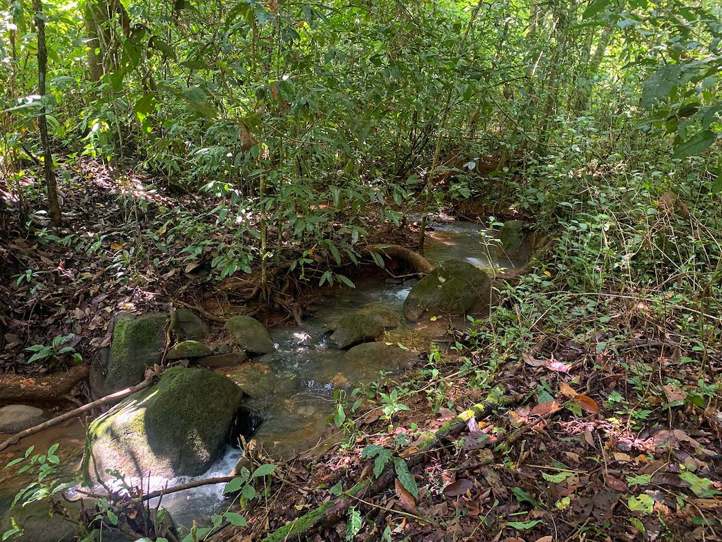 0 bed Land For Sale in Ojochal, Puntarenas - thumb 15