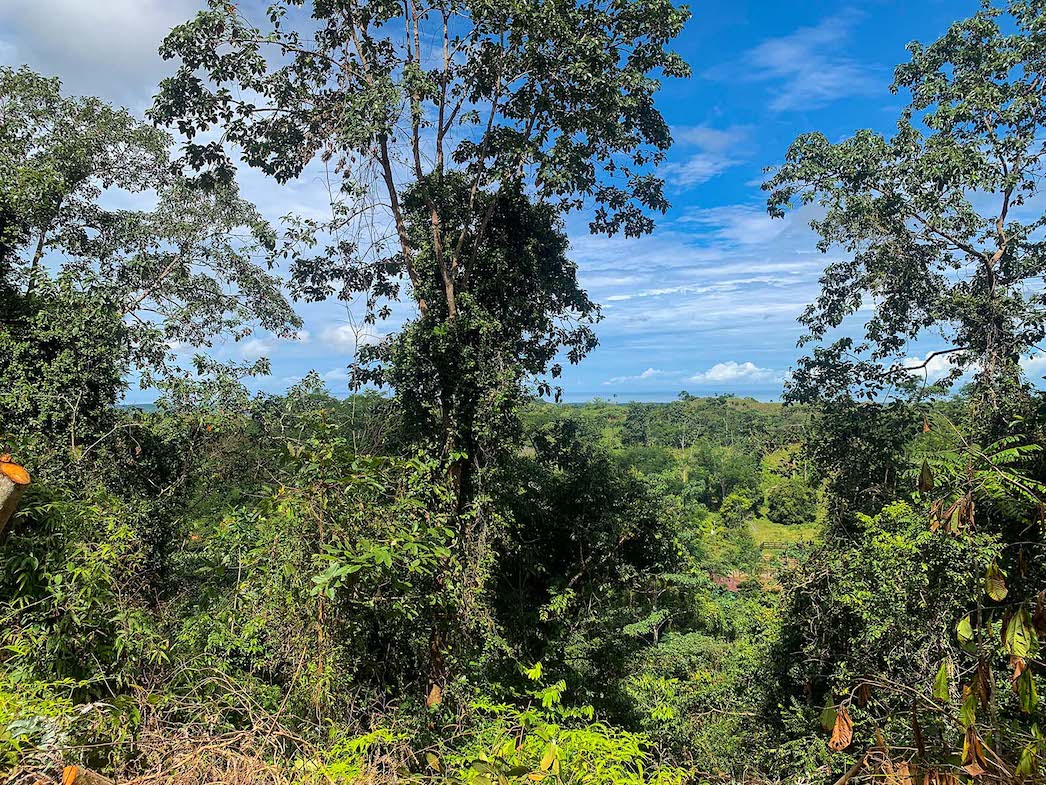 0 bed Land For Sale in Ojochal, Puntarenas - thumb 11