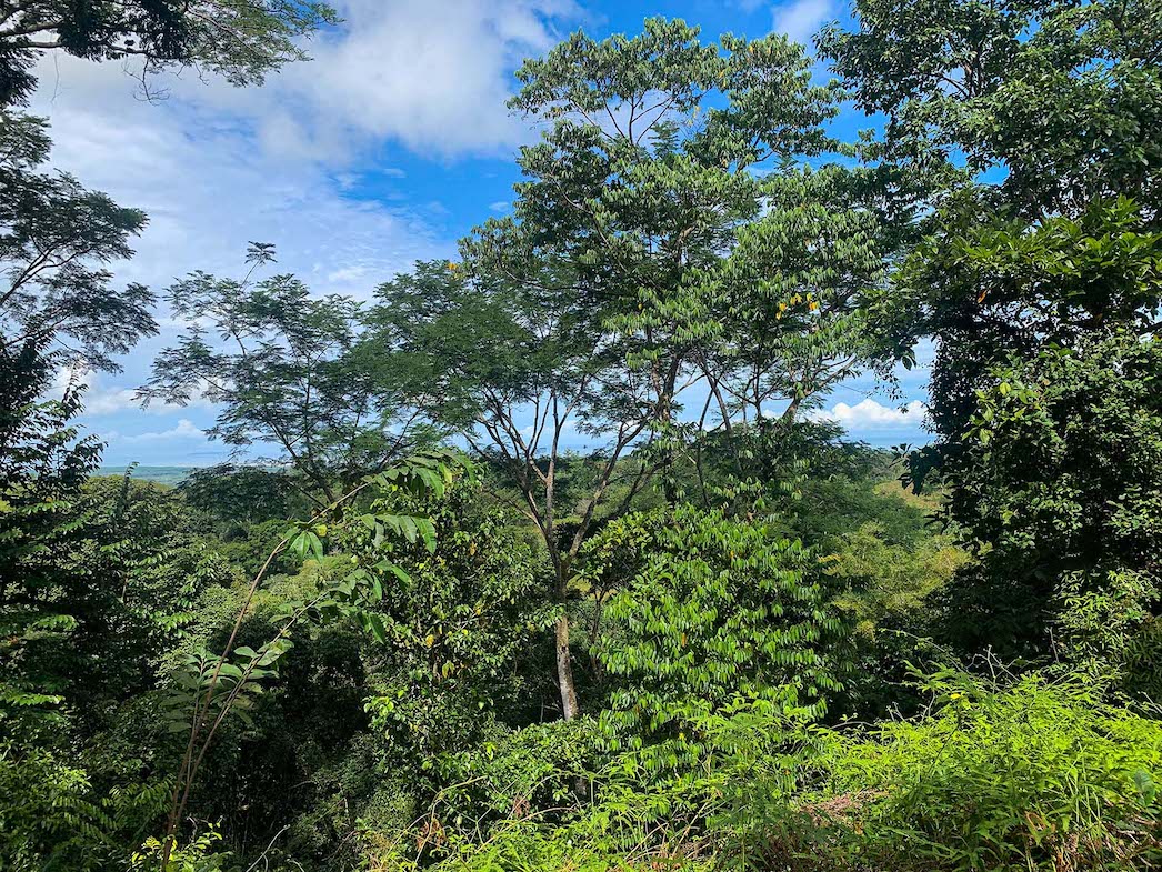 0 bed Land For Sale in Ojochal, Puntarenas - thumb 8