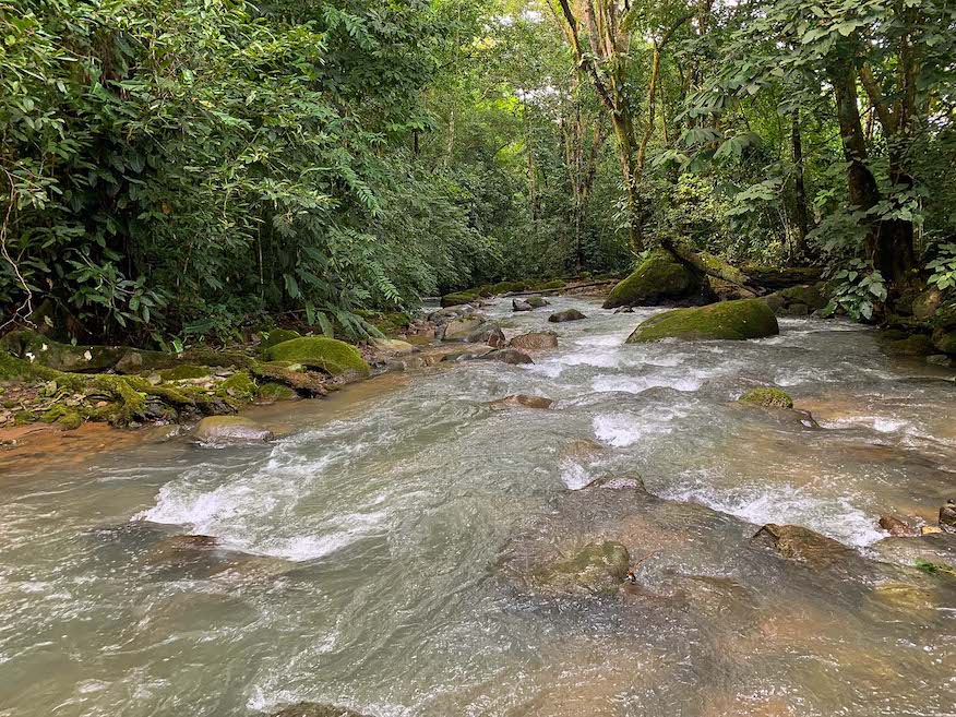 0 bed Land For Sale in Ojochal, Puntarenas - thumb 6