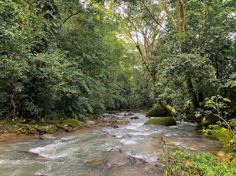 0 bed Land For Sale in Ojochal, Puntarenas - thumb 2