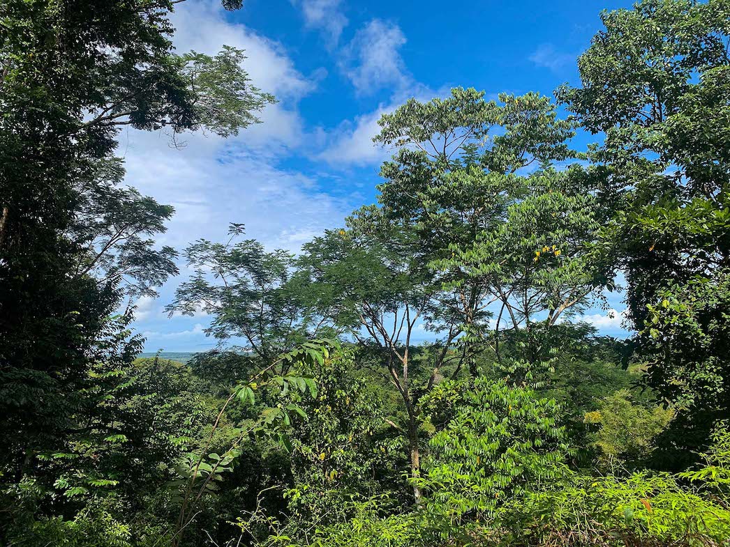 0 bed Land For Sale in Ojochal, Puntarenas - thumb 5