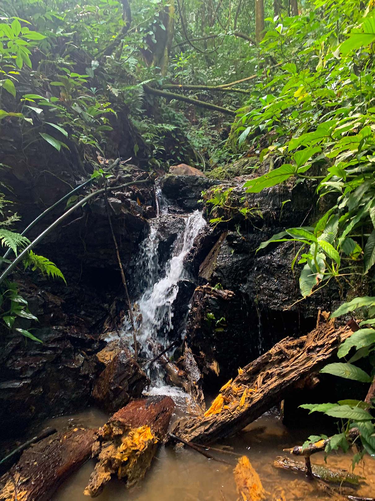 0 bed Land For Sale in Ojochal, Puntarenas - thumb 21