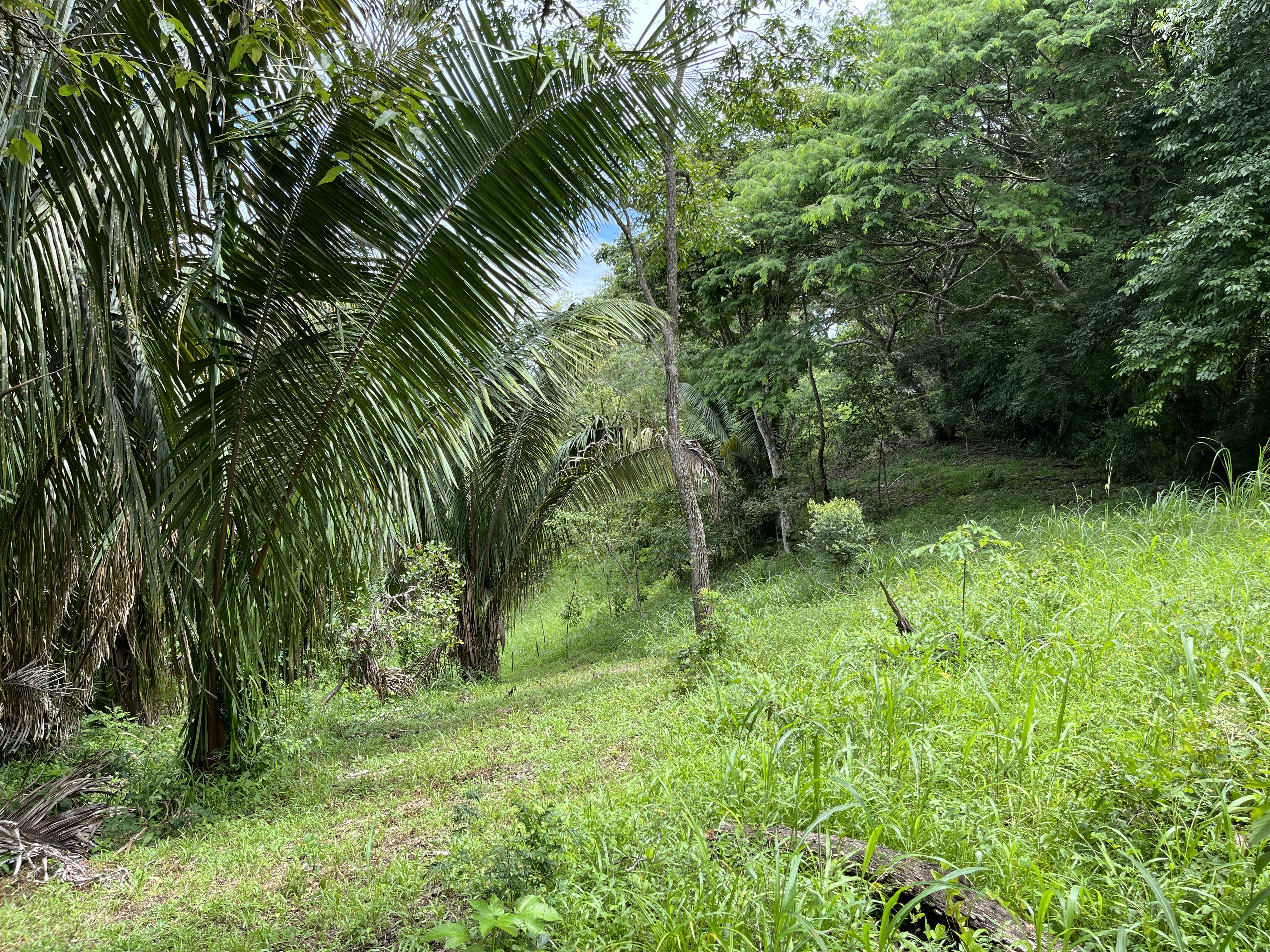 0 bed Land For Sale in Samara, Guanacaste - thumb 1