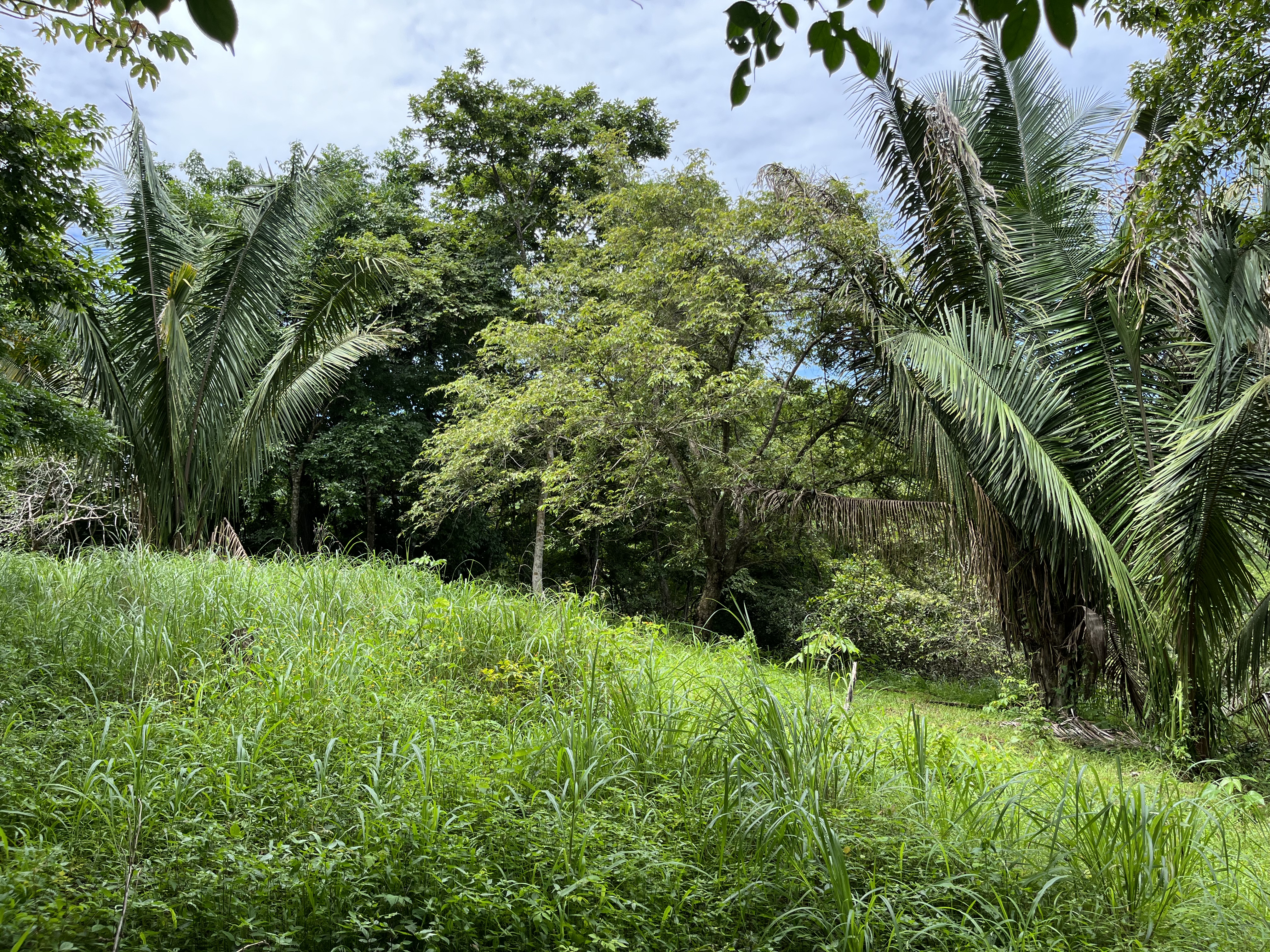 0 bed Land For Sale in Samara, Guanacaste - thumb 9