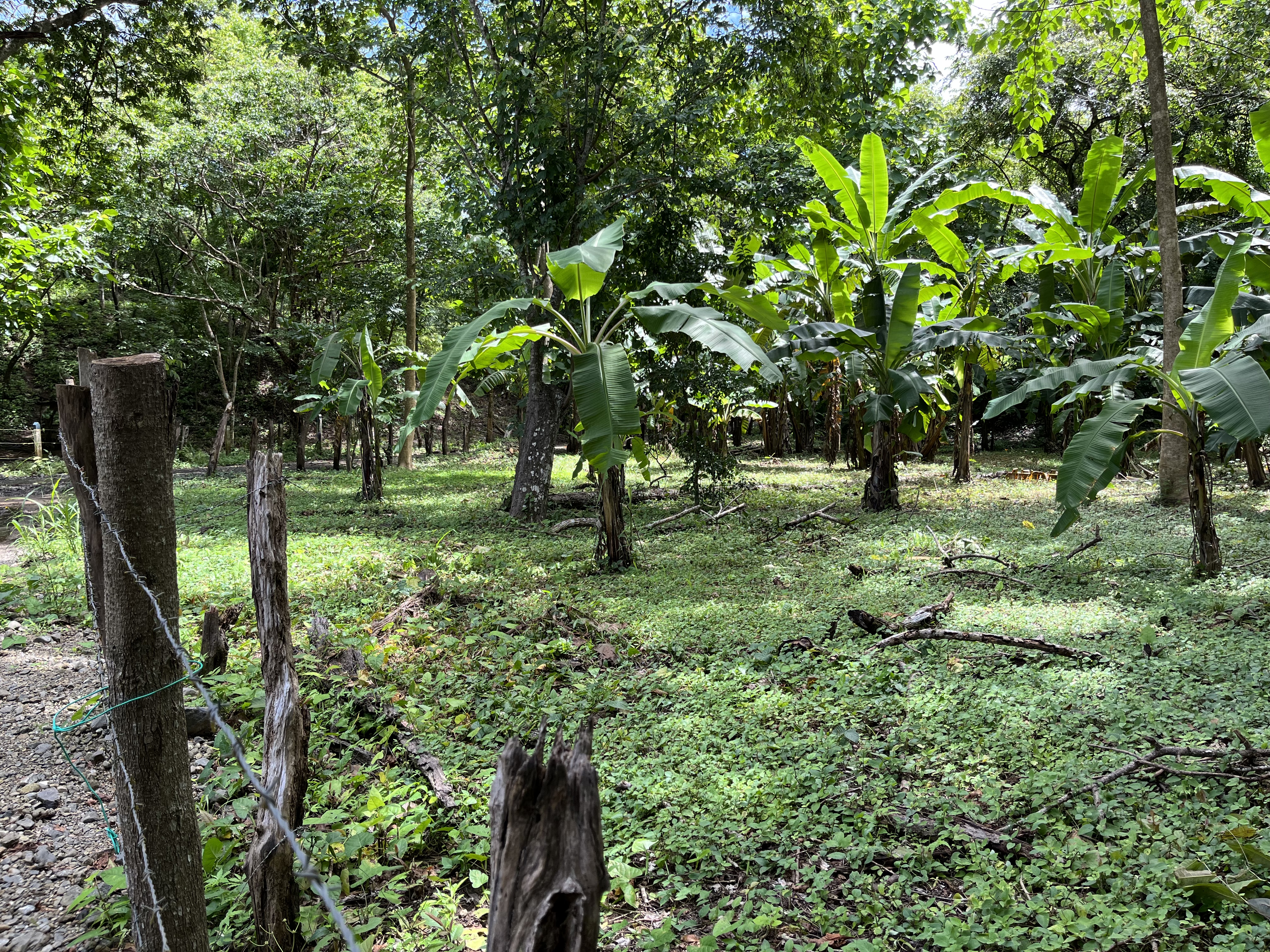 0 bed Land For Sale in Samara, Guanacaste - thumb 4