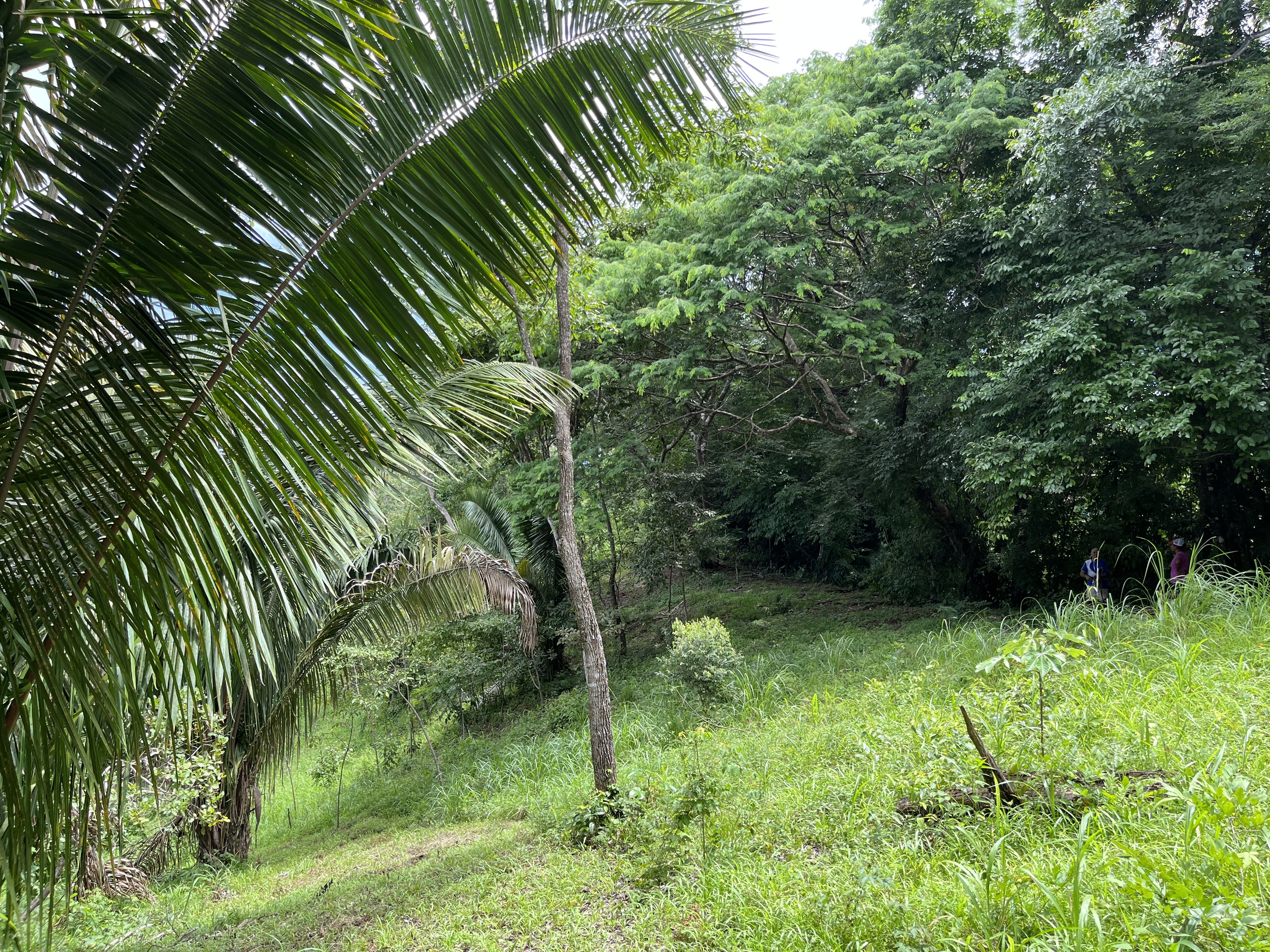0 bed Land For Sale in Samara, Guanacaste - thumb 7