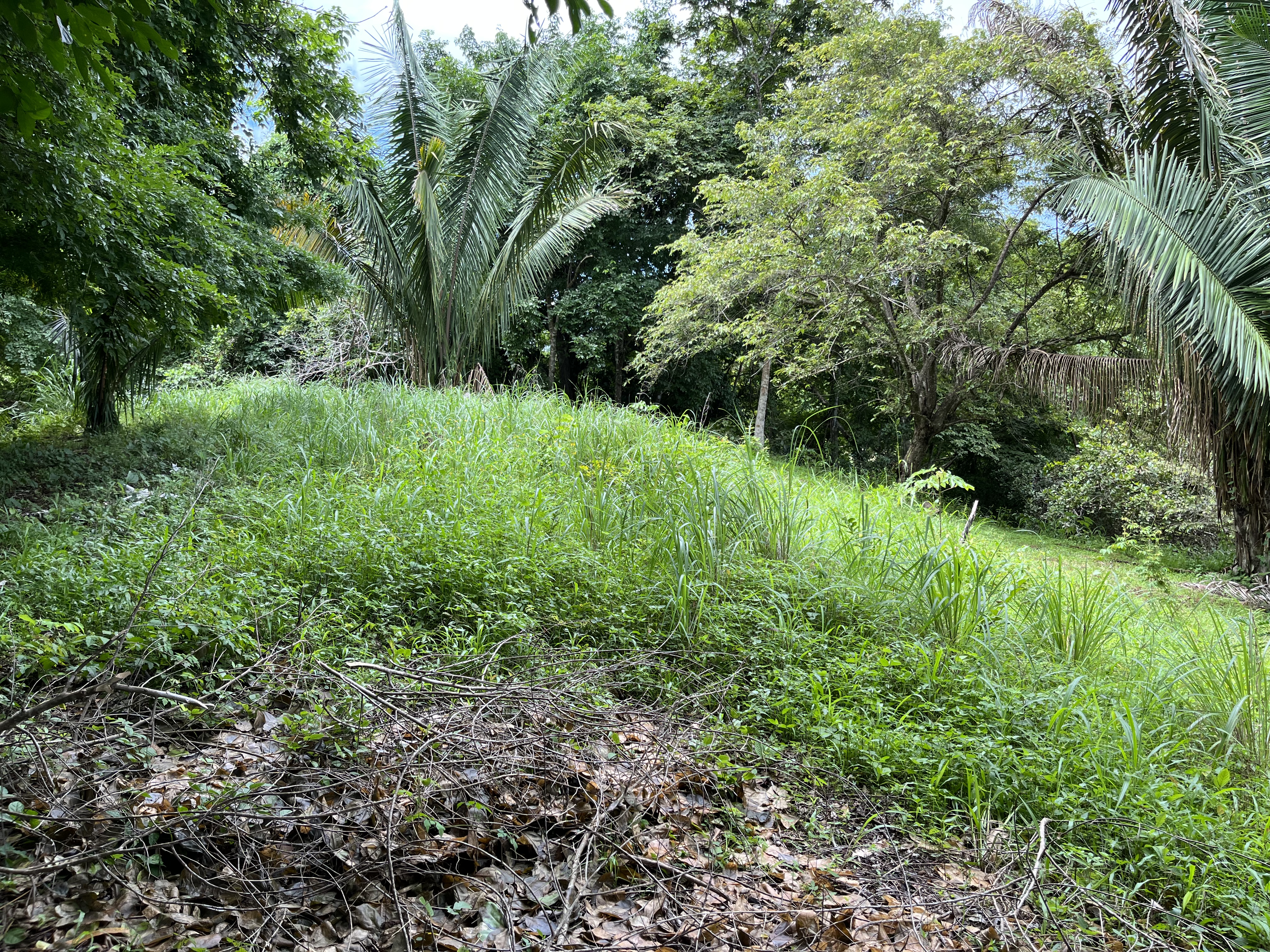0 bed Land For Sale in Samara, Guanacaste - thumb 8