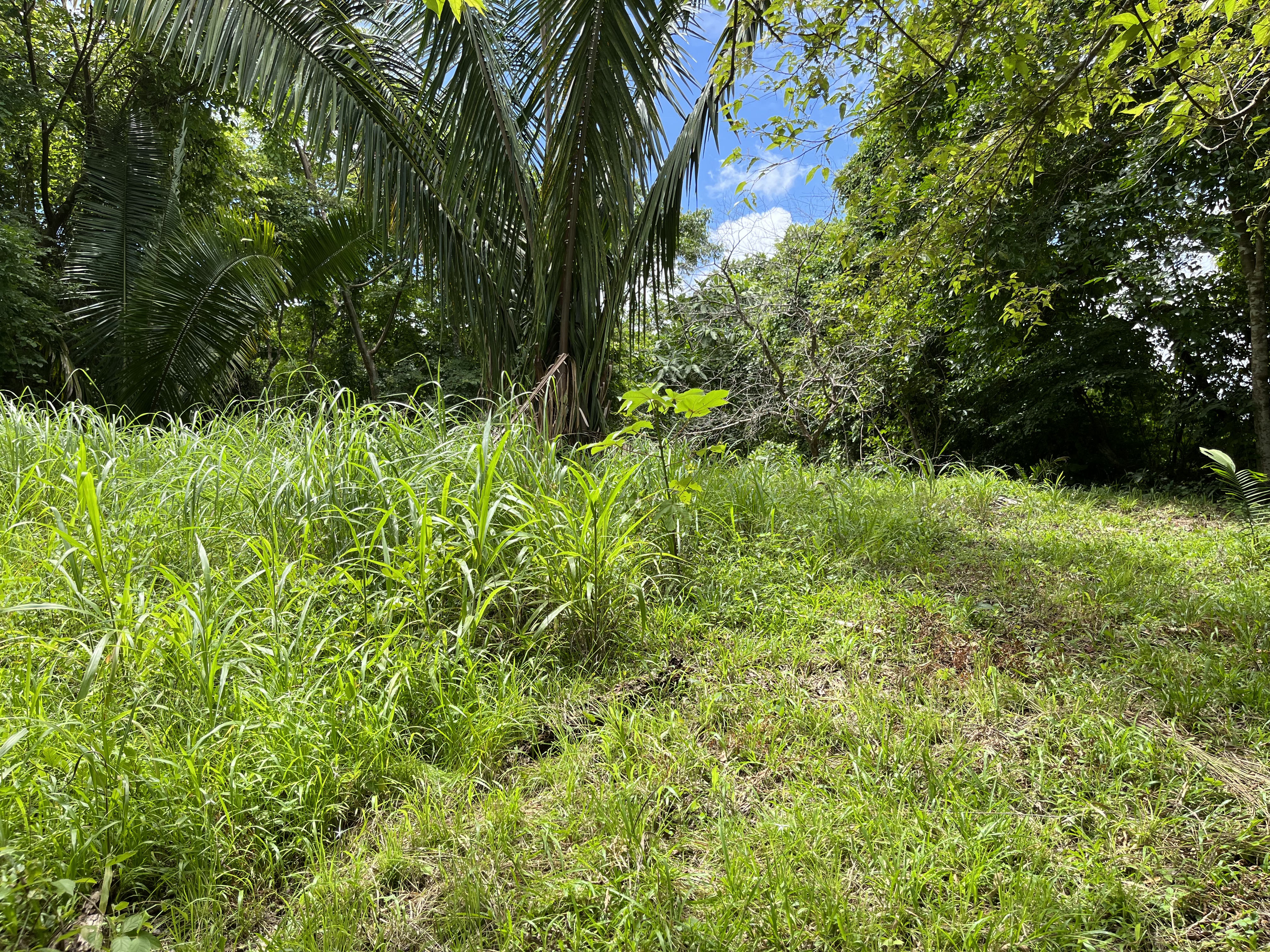 0 bed Land For Sale in Samara, Guanacaste - thumb 14