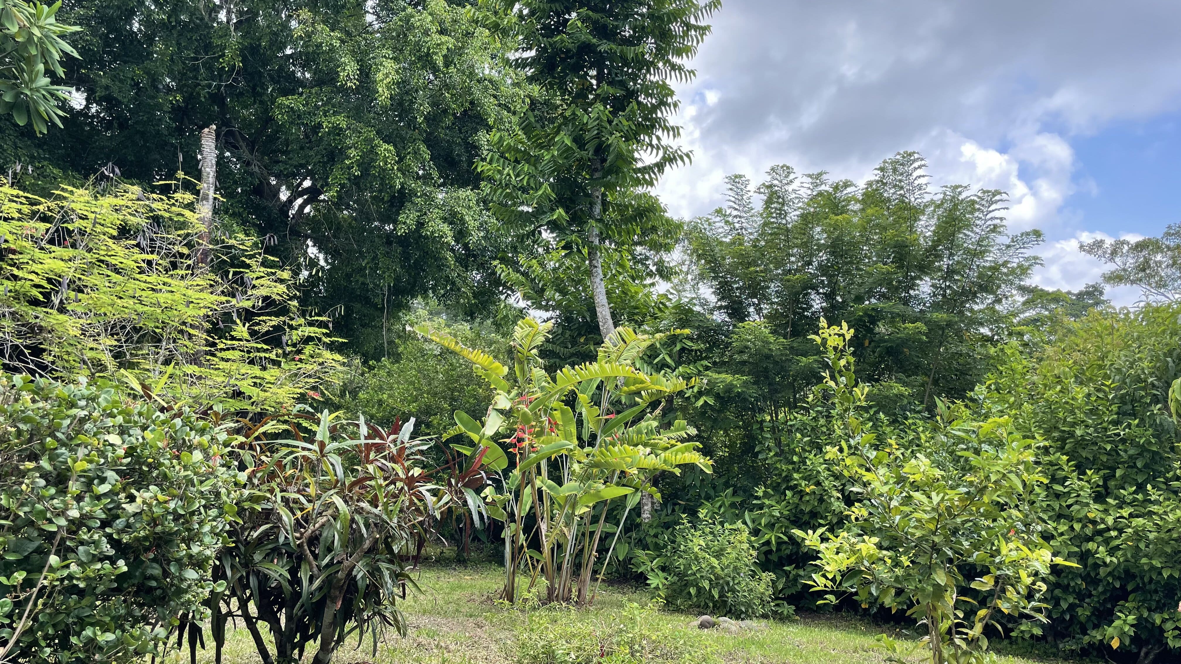 2 bed Single Family Homes For Sale in Delicias, Puntarenas - thumb 4