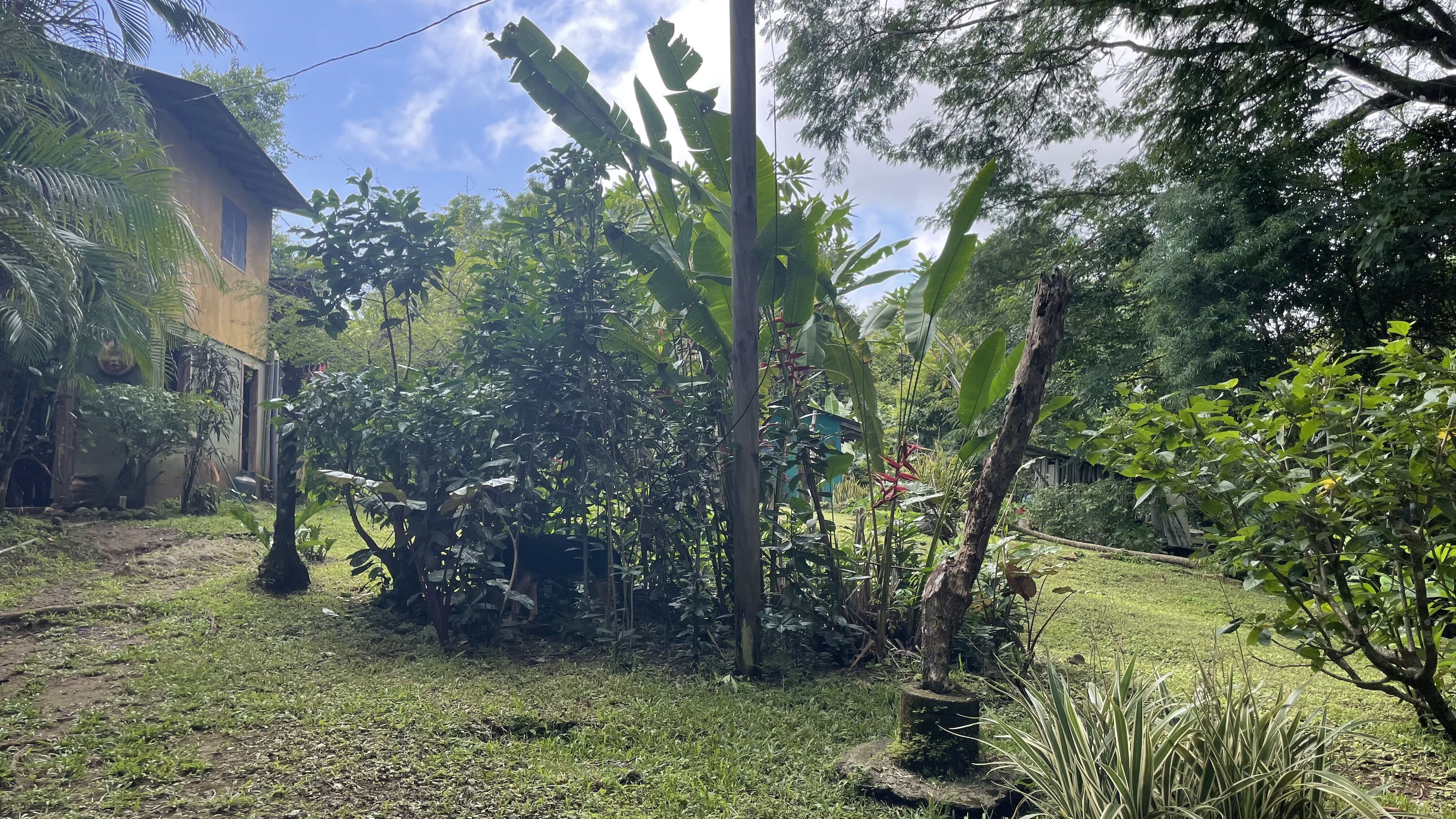 2 bed Single Family Homes For Sale in Delicias, Puntarenas - thumb 6