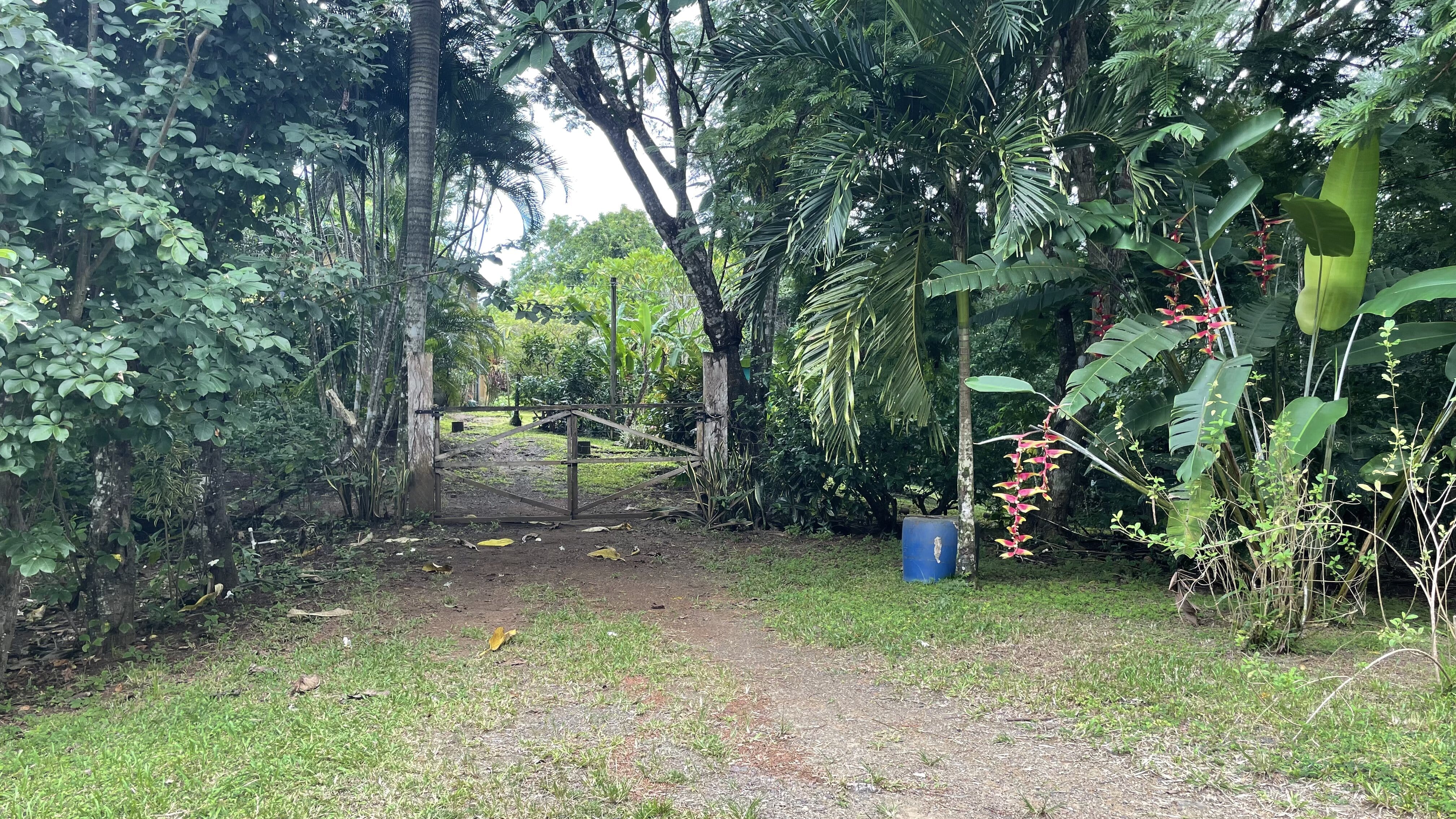 2 bed Single Family Homes For Sale in Delicias, Puntarenas - thumb 2