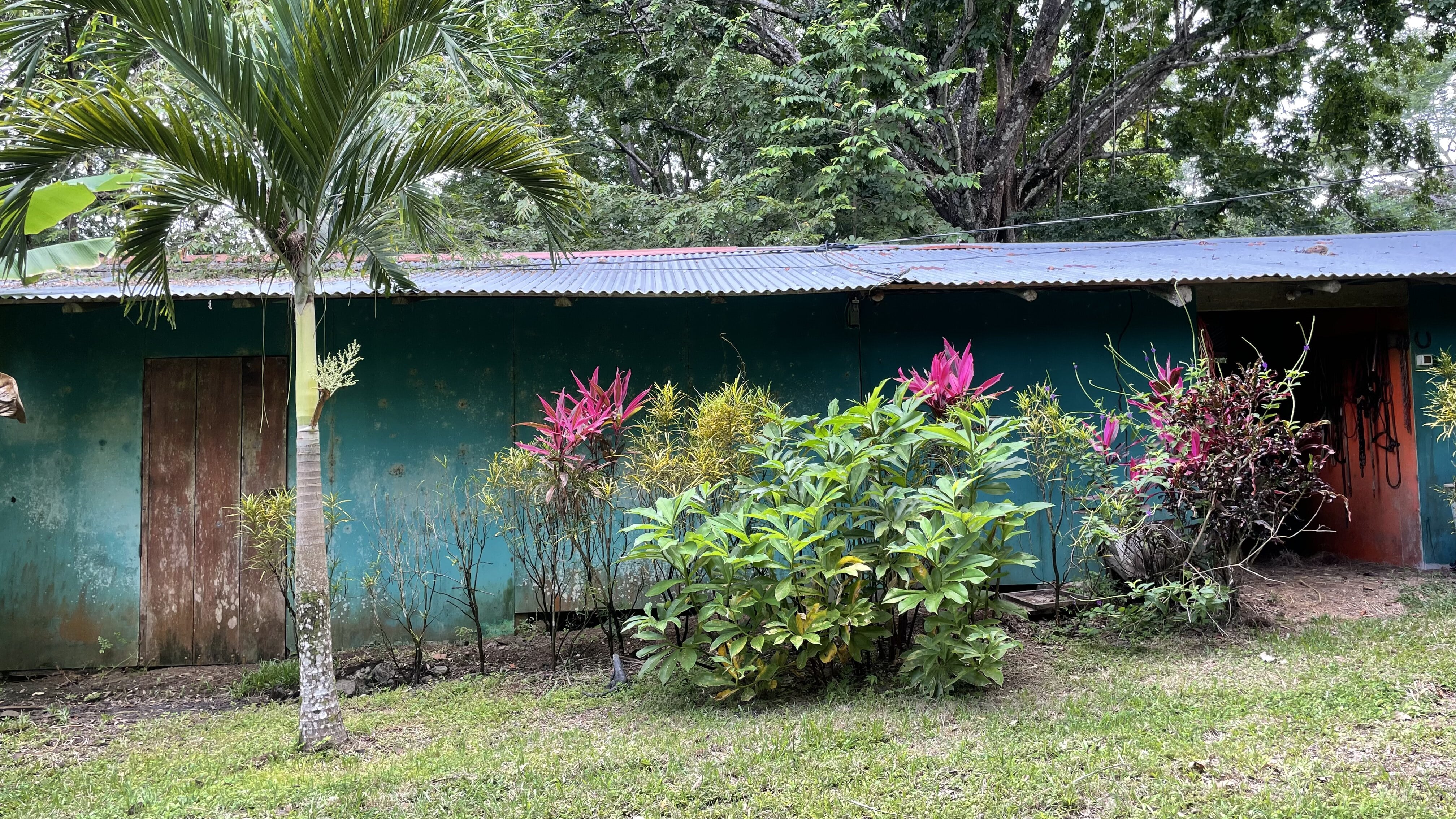 2 bed Single Family Homes For Sale in Delicias, Puntarenas - thumb 17