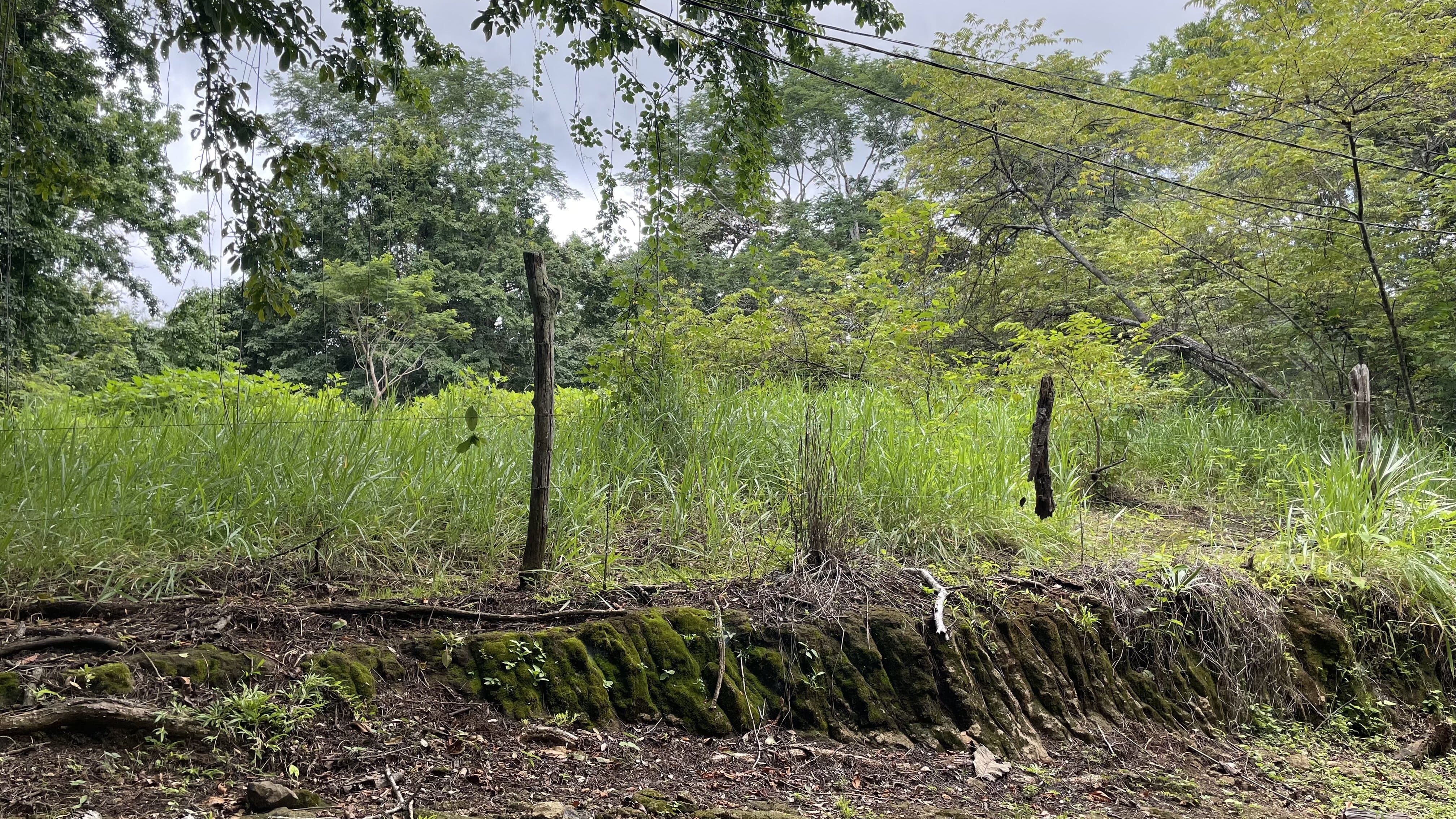 2 bed Single Family Homes For Sale in Delicias, Puntarenas - thumb 7