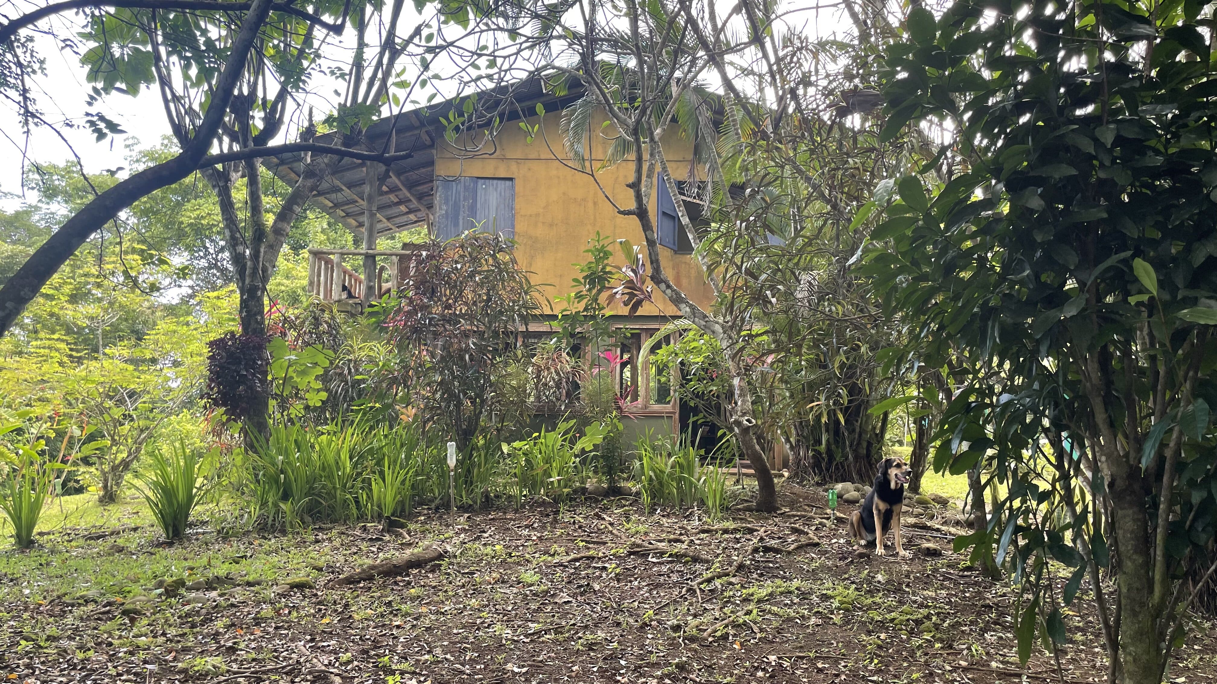 2 bed Single Family Homes For Sale in Delicias, Puntarenas - thumb 13