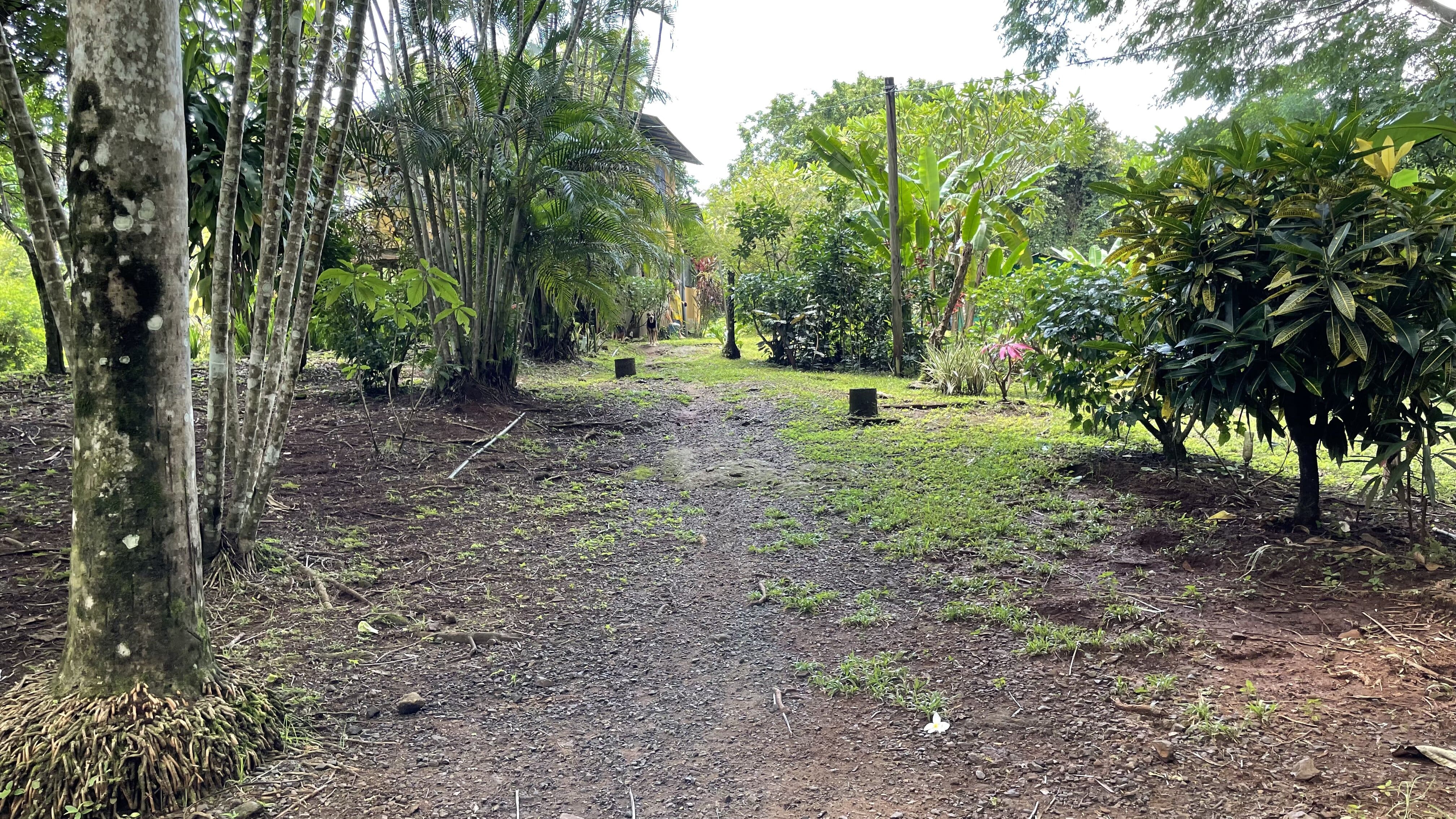 2 bed Single Family Homes For Sale in Delicias, Puntarenas - thumb 3