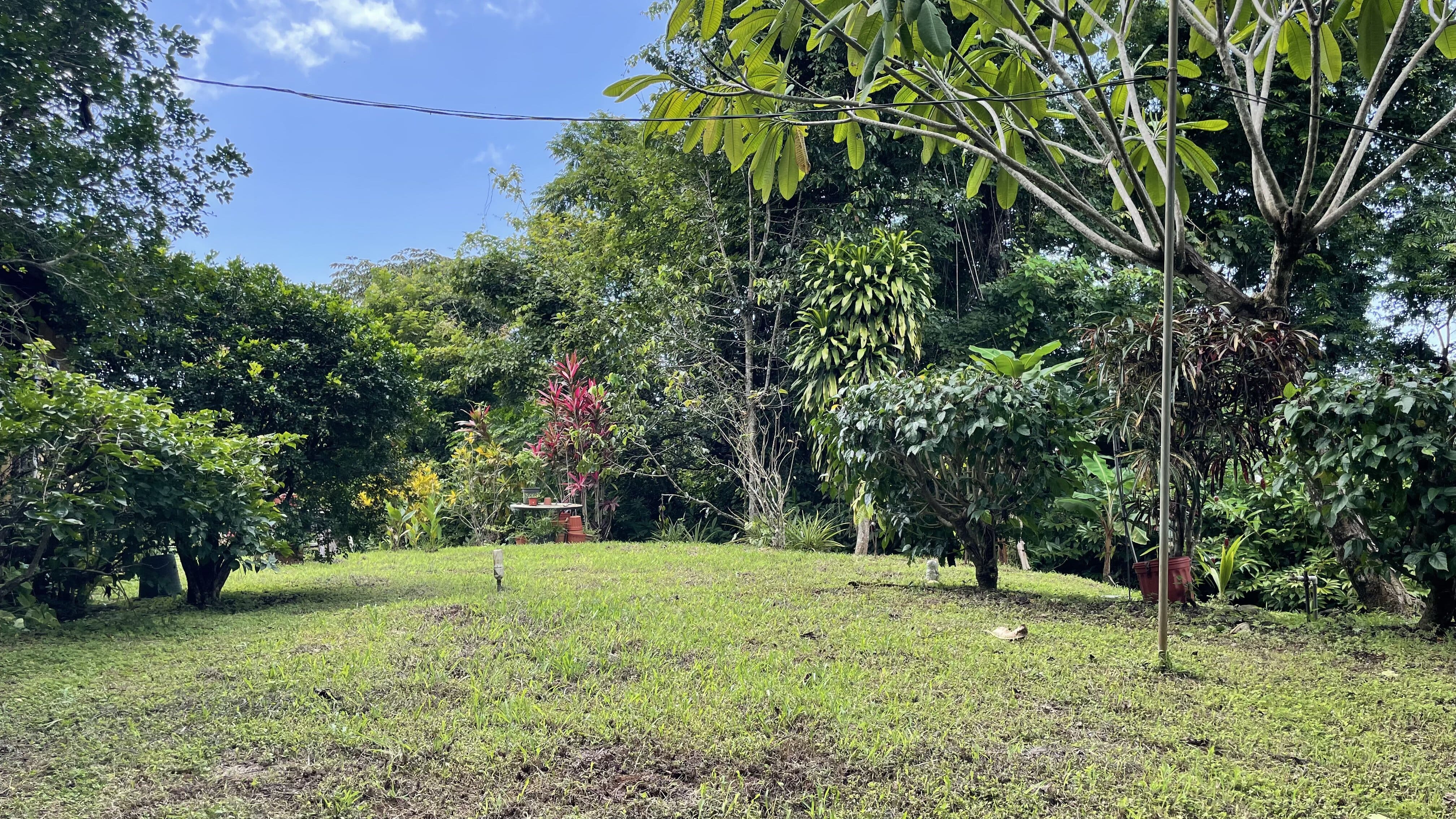 2 bed Single Family Homes For Sale in Delicias, Puntarenas - thumb 10