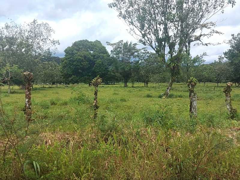 0 bed Land For Sale in Guapiles, Limón - 1