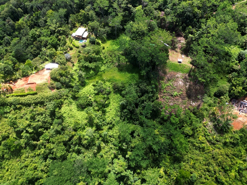 0 bed Land For Sale in Uvita, Puntarenas - thumb 3