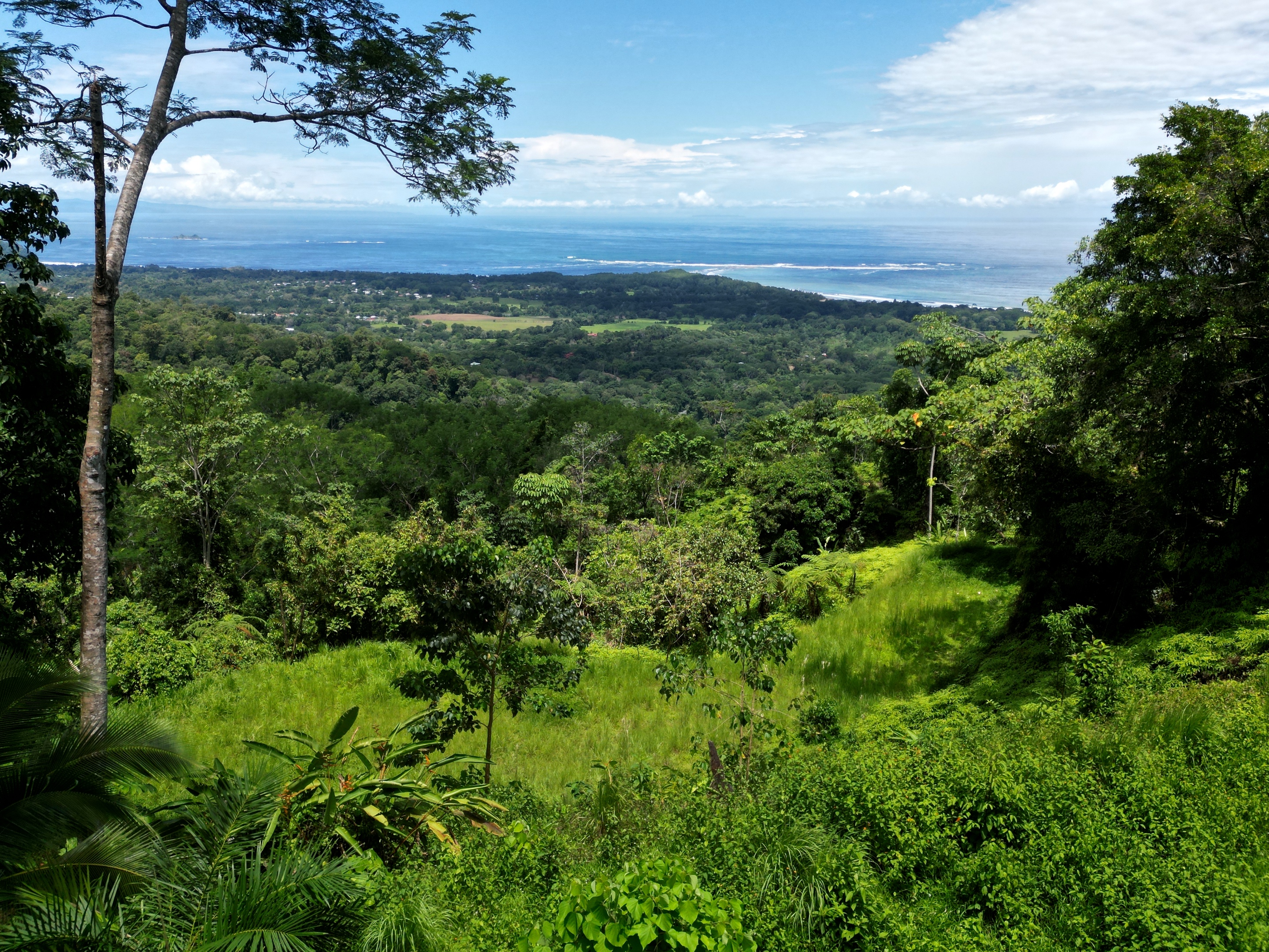 0 bed Land For Sale in Uvita, Puntarenas - thumb 11