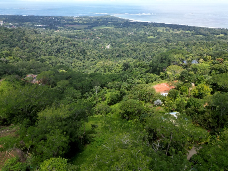 0 bed Land For Sale in Uvita, Puntarenas - thumb 9