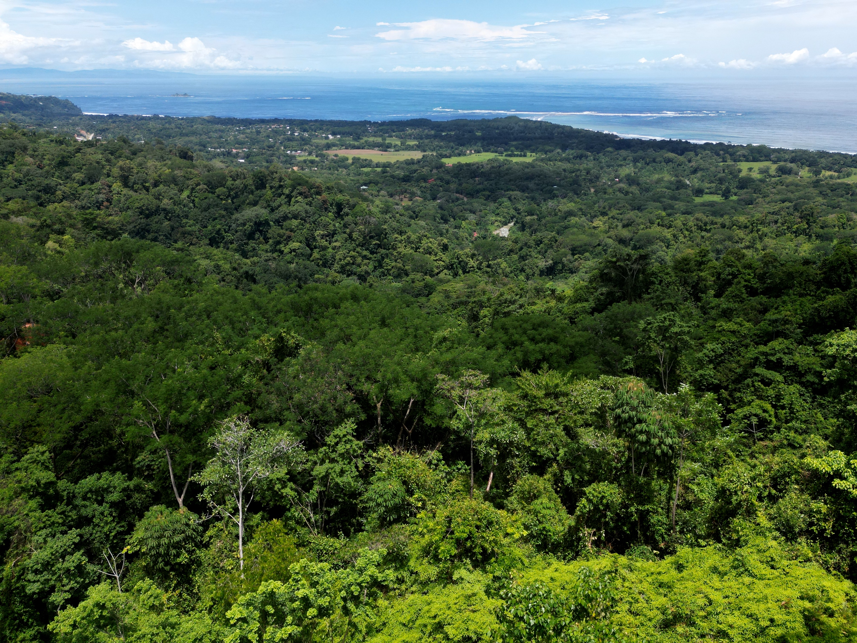 0 bed Land For Sale in Uvita, Puntarenas - thumb 7