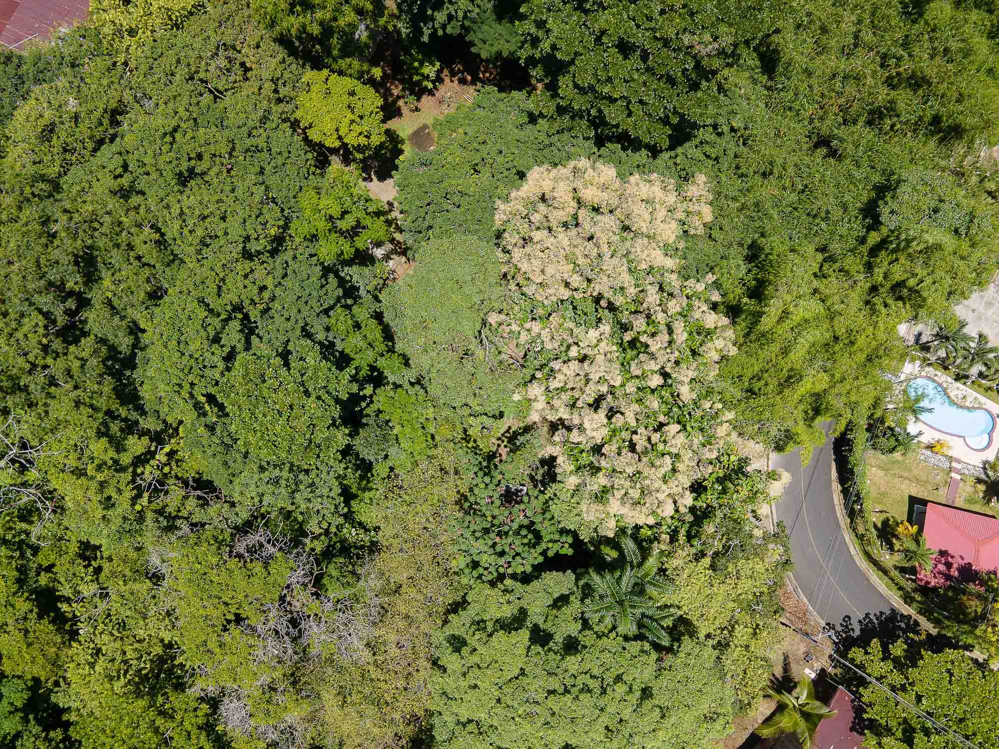 0 bed Land For Sale in Manuel Antonio, Puntarenas - thumb 4