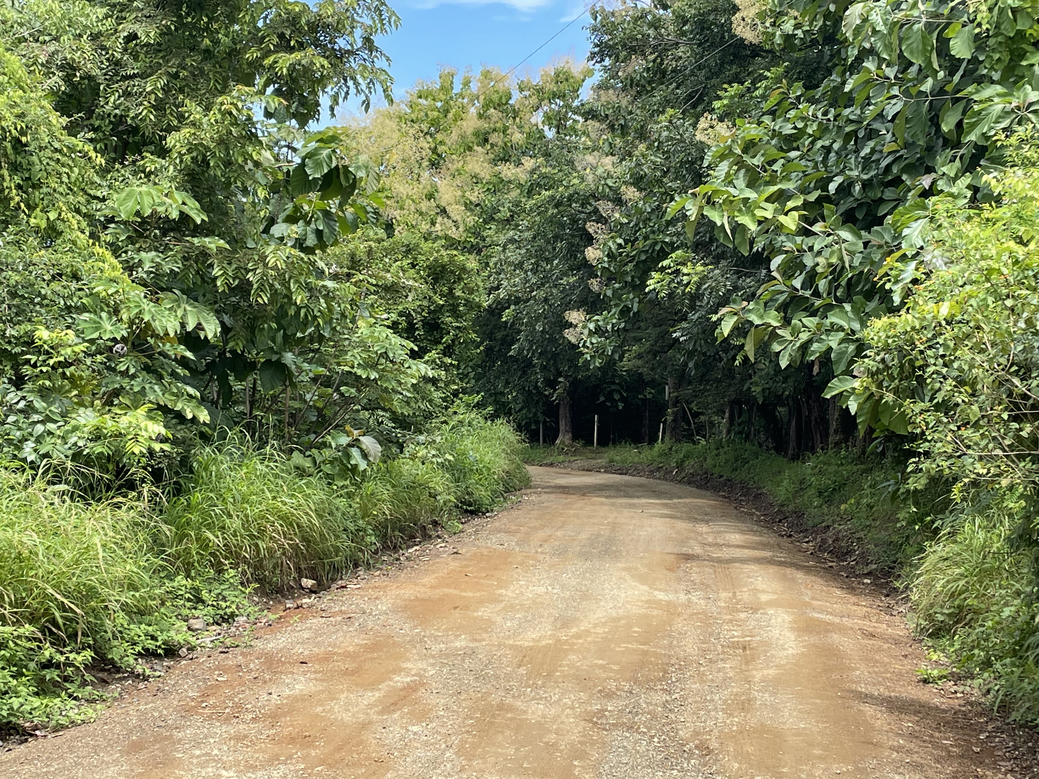 0 bed Land For Sale in Nosara, Guanacaste - thumb 2