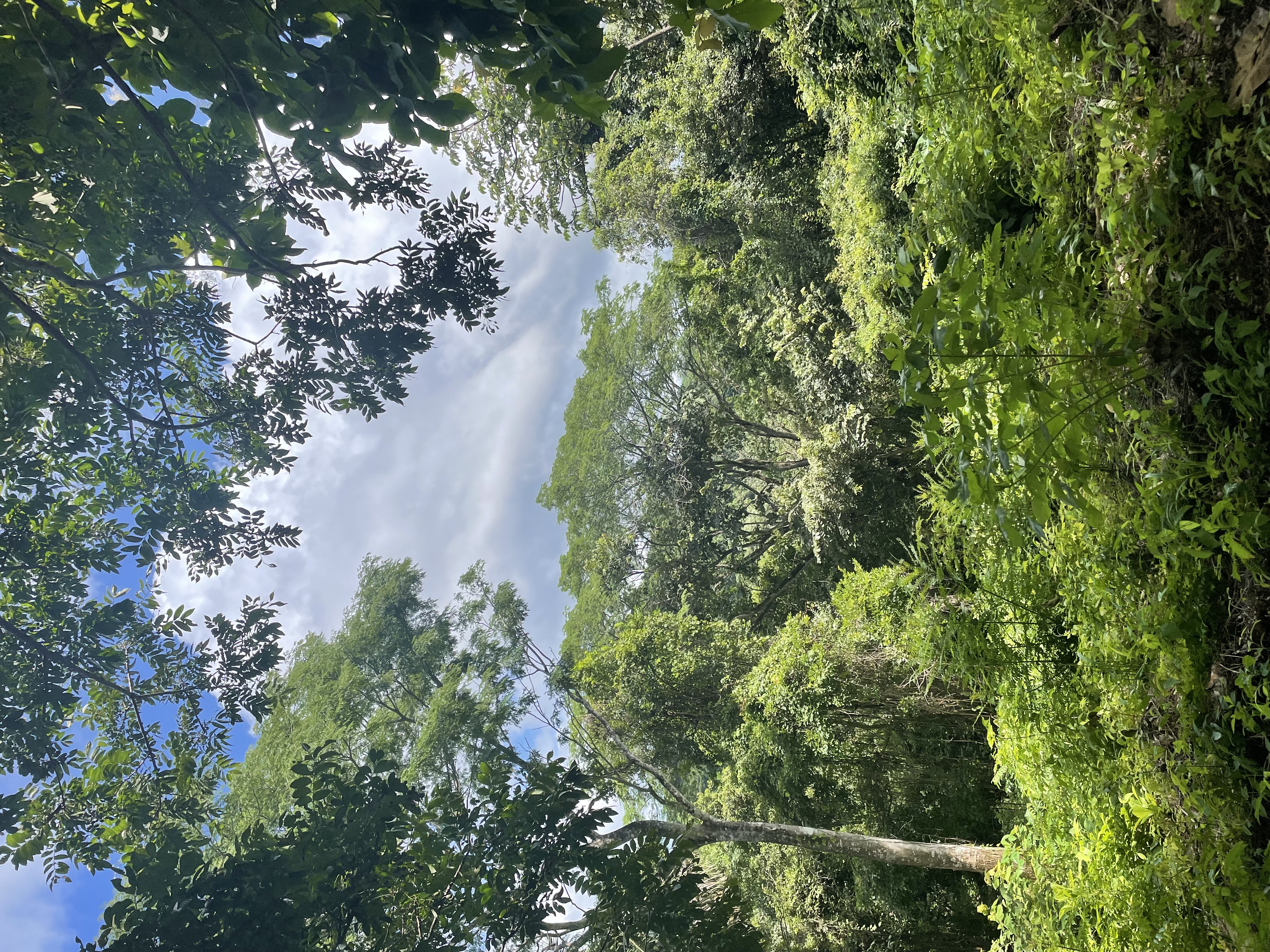 0 bed Land For Sale in Nosara, Guanacaste - thumb 1