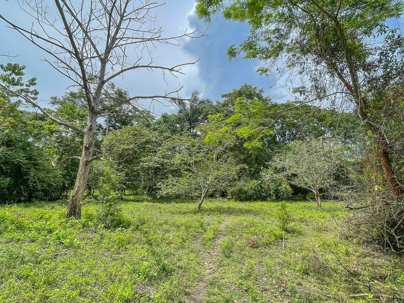 0 bed Land For Sale in Cabuya, Puntarenas - 1