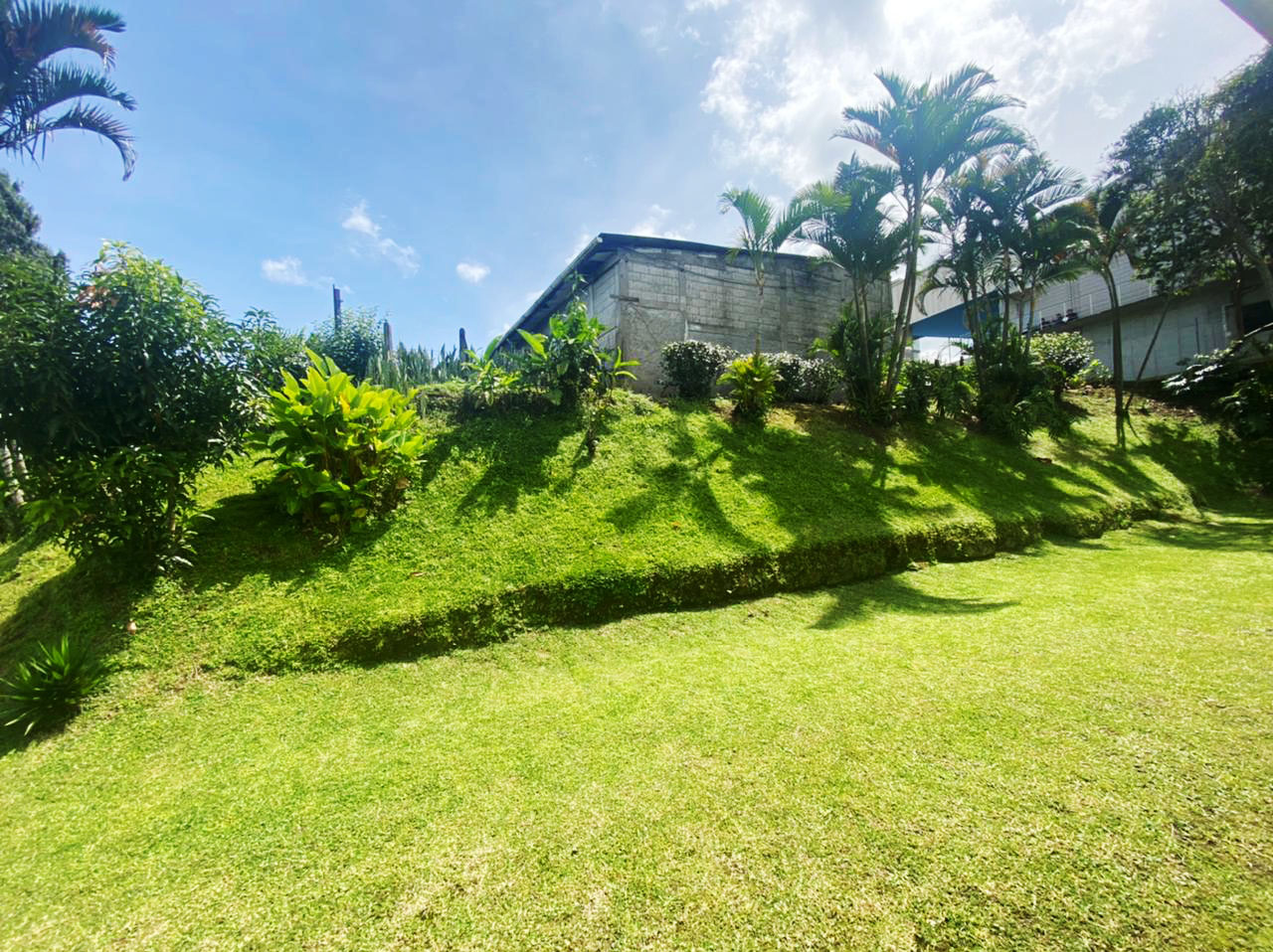 3 bed Land For Sale in Curridabat, San Jose - thumb 13