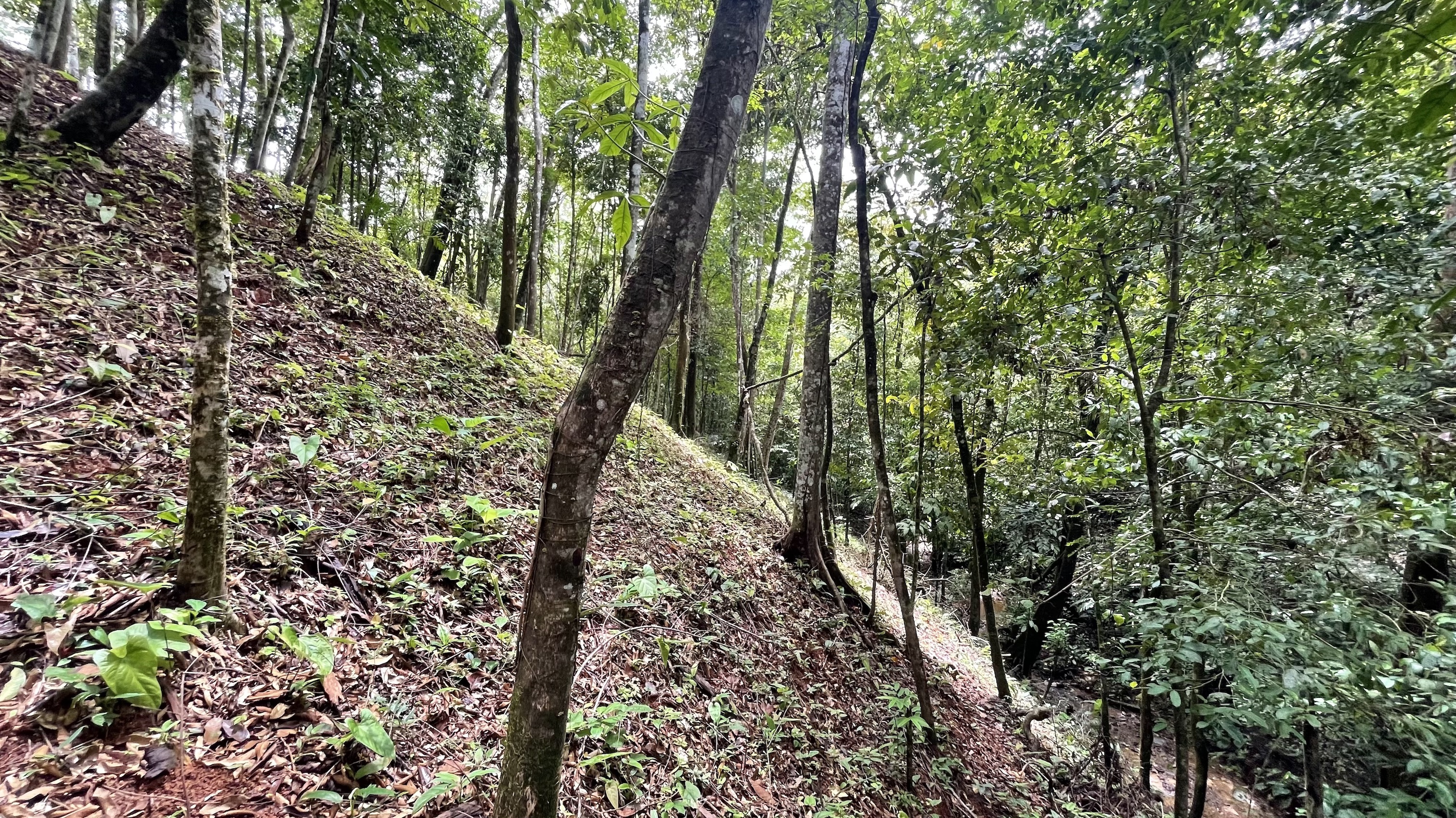 0 bed Land For Sale in Dominical, Puntarenas - thumb 12