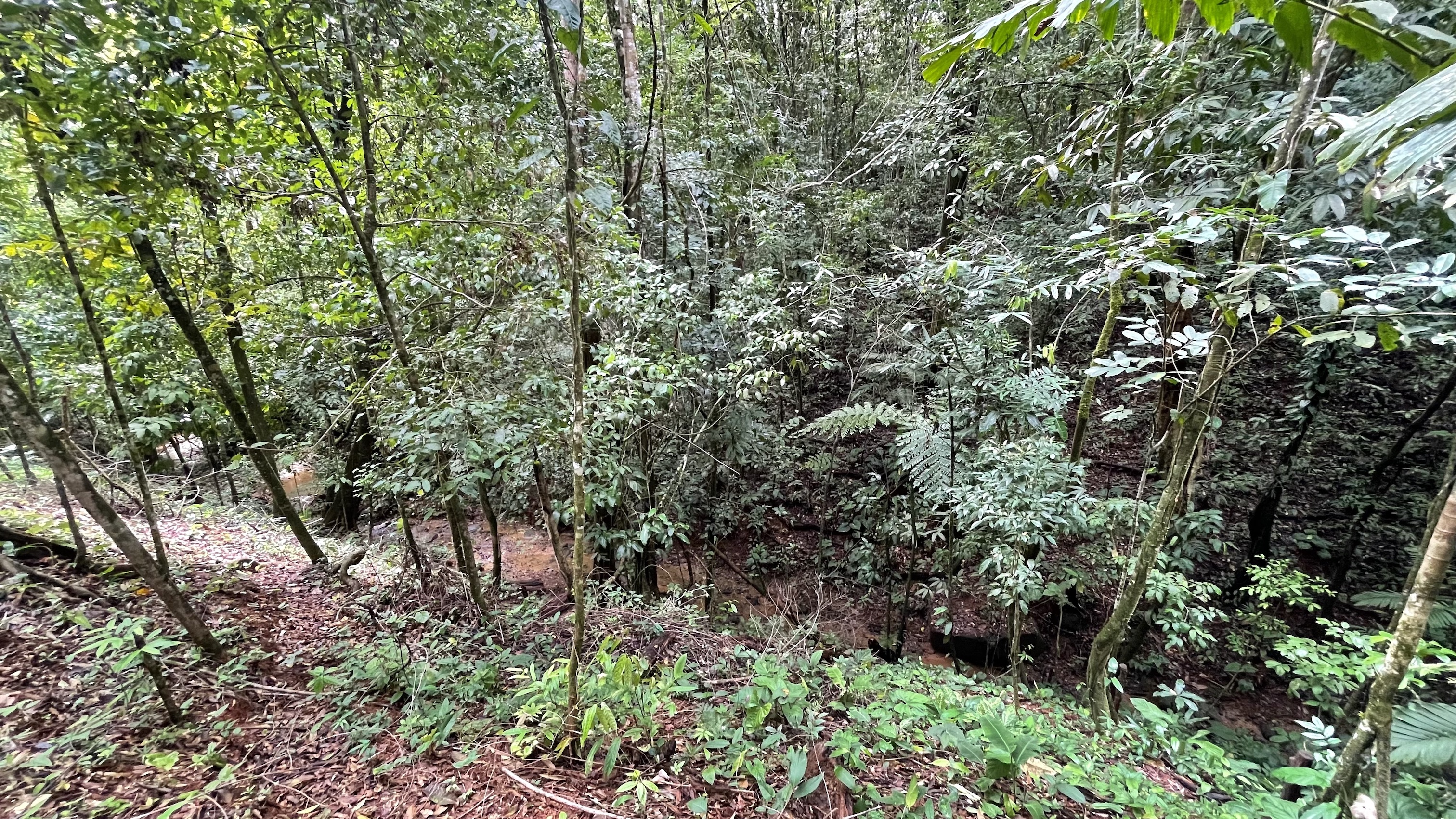 0 bed Land For Sale in Dominical, Puntarenas - thumb 11