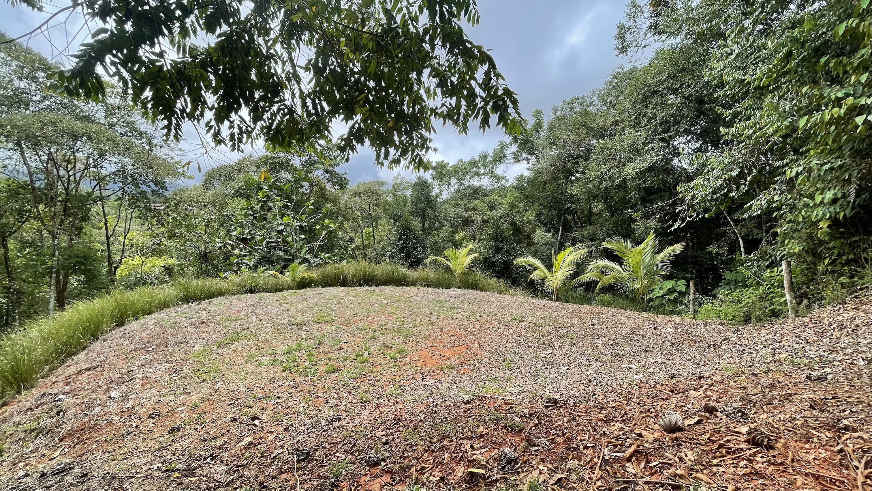 0 bed Land For Sale in Dominical, Puntarenas - thumb 9