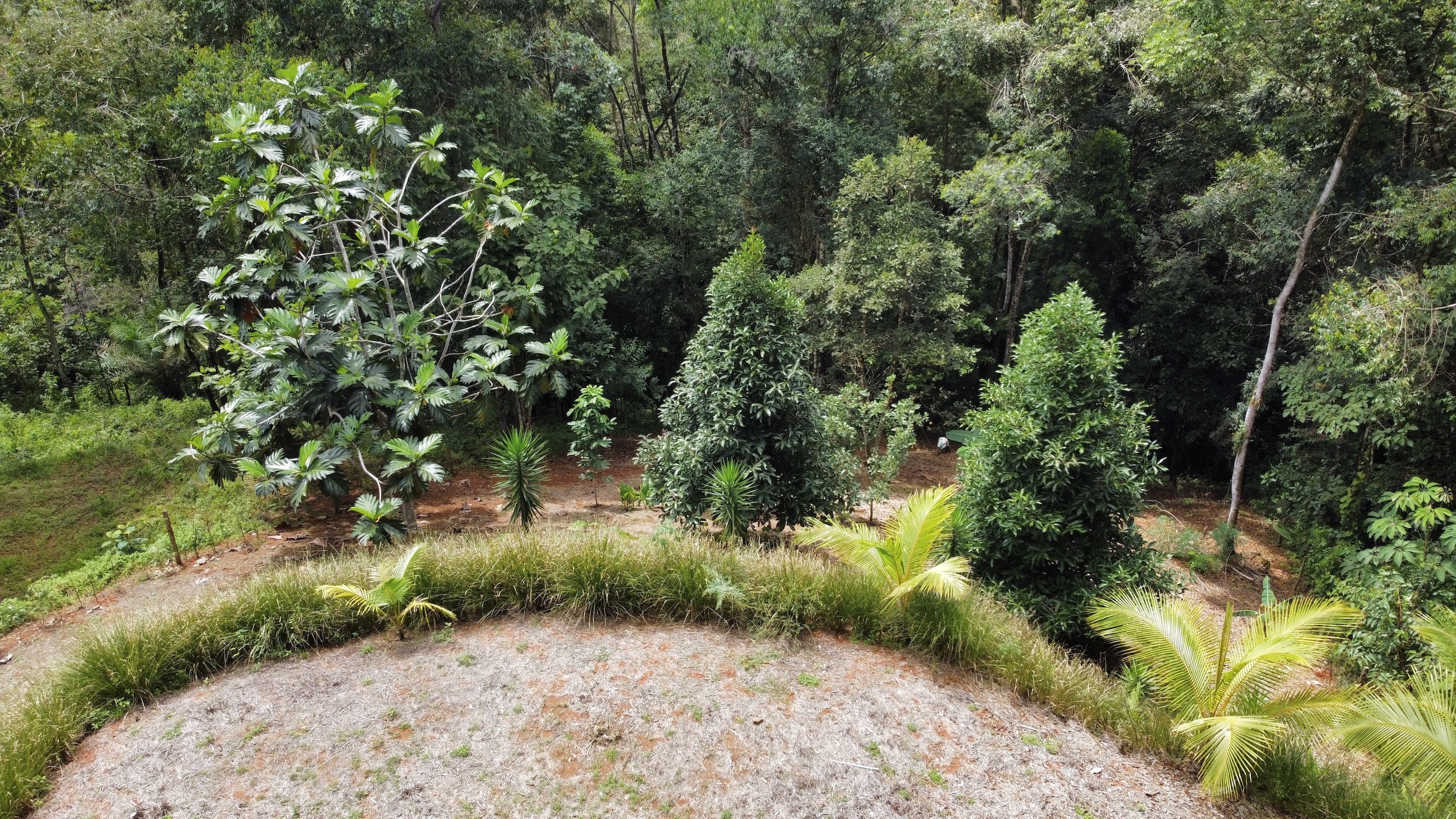 0 bed Land For Sale in Dominical, Puntarenas - thumb 8