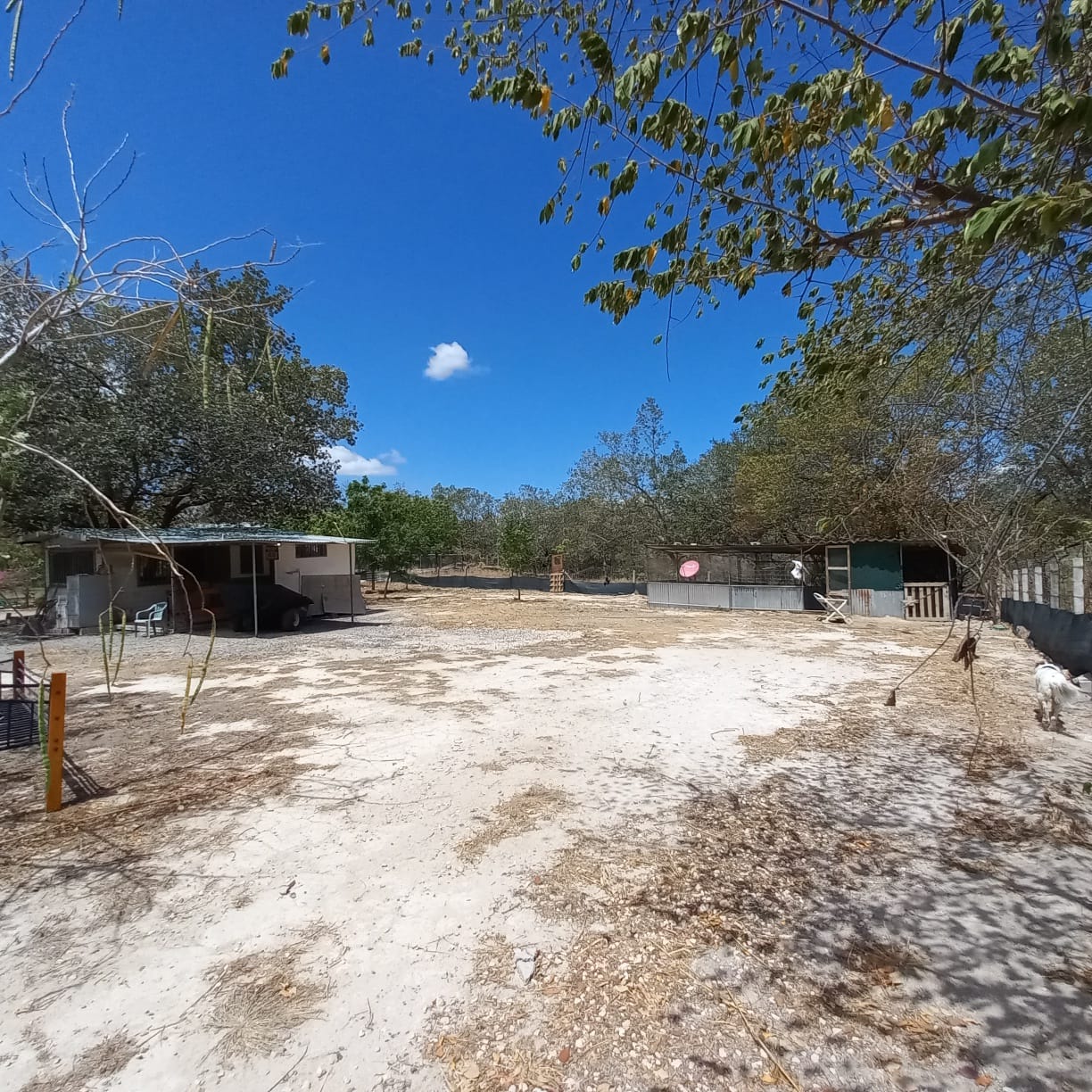 3 bed Single Family Homes For Sale in Liberia, Guanacaste - thumb 13