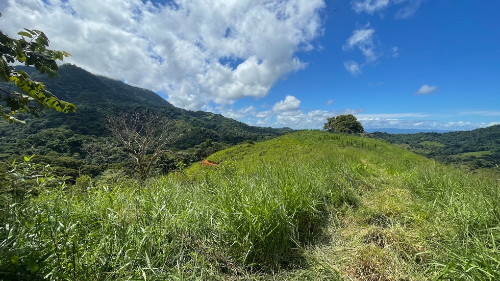 2 bed Single Family Homes For Sale in Ojochal, Puntarenas - thumb 17