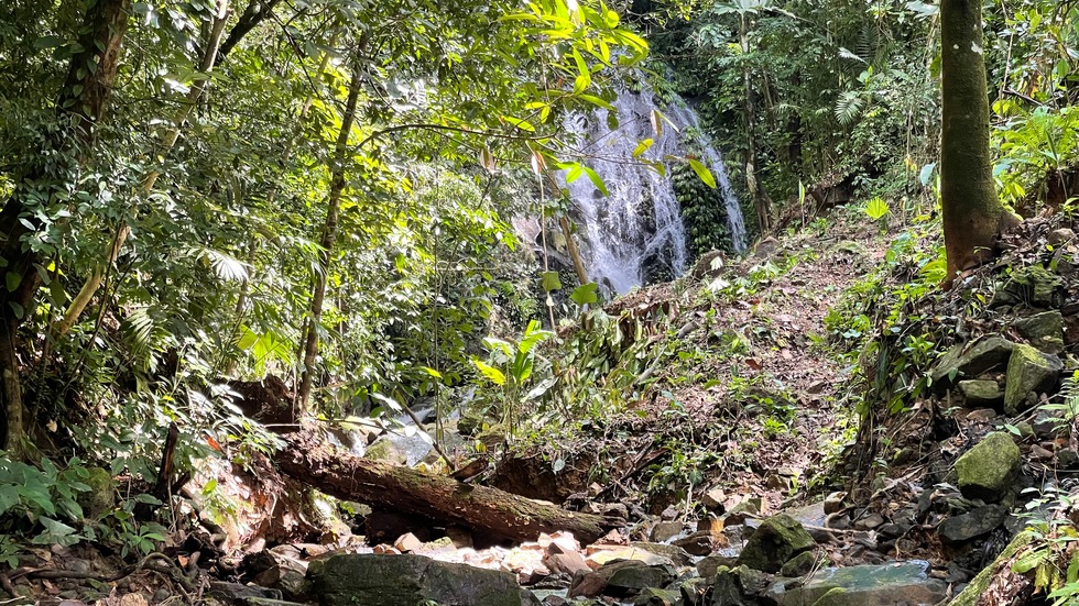 2 bed Single Family Homes For Sale in Ojochal, Puntarenas - thumb 9