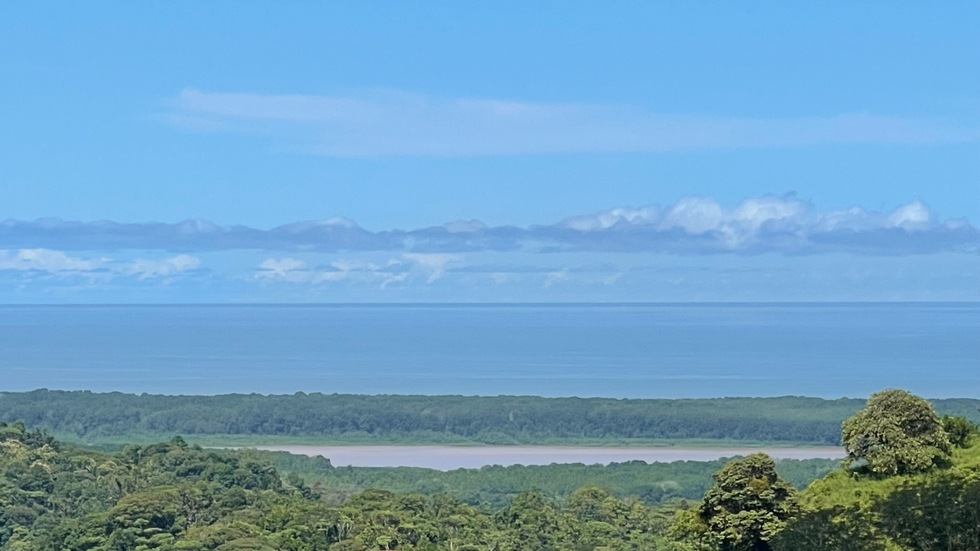 2 bed Single Family Homes For Sale in Ojochal, Puntarenas - thumb 18