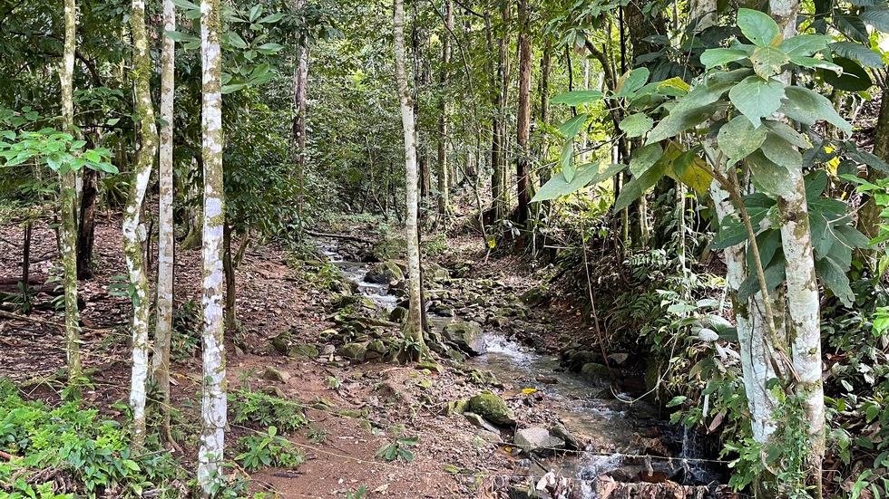 2 bed Single Family Homes For Sale in Ojochal, Puntarenas - thumb 6