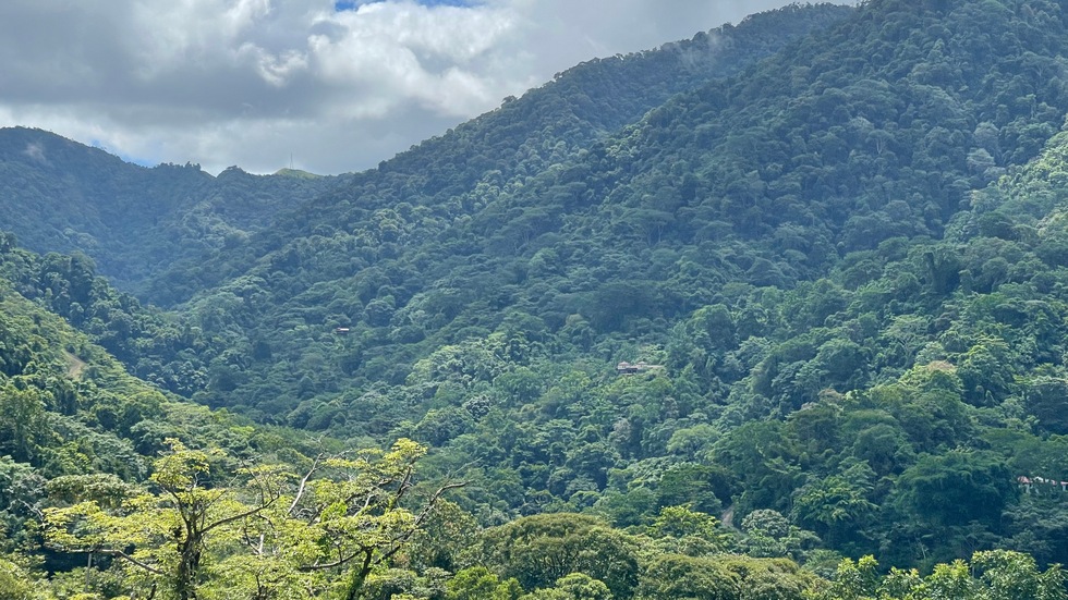 2 bed Single Family Homes For Sale in Ojochal, Puntarenas - thumb 12