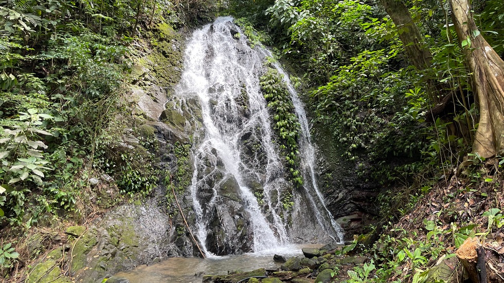 2 bed Single Family Homes For Sale in Ojochal, Puntarenas - thumb 8